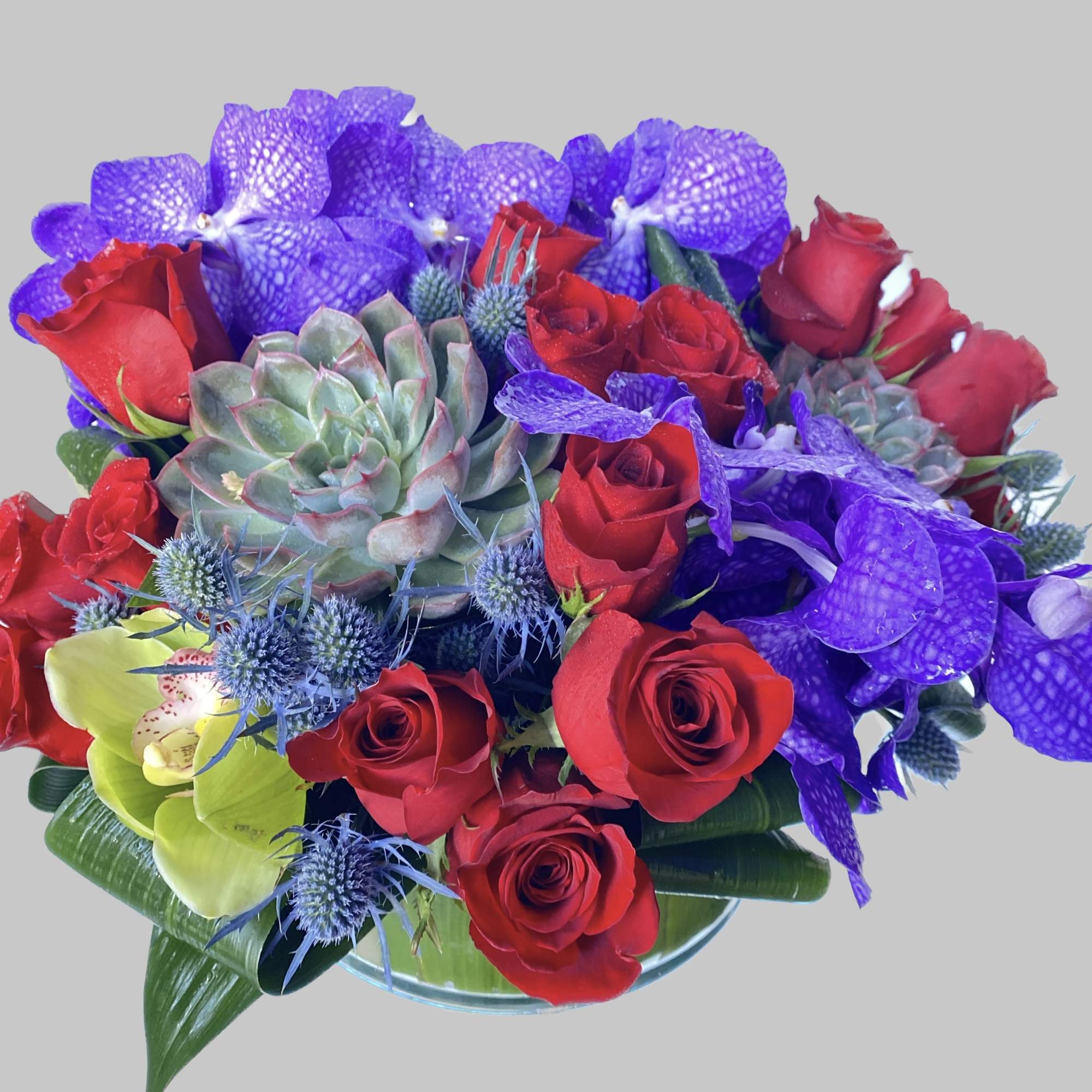 Vibrant new design with red roses, purple vanda and succulents with touch
