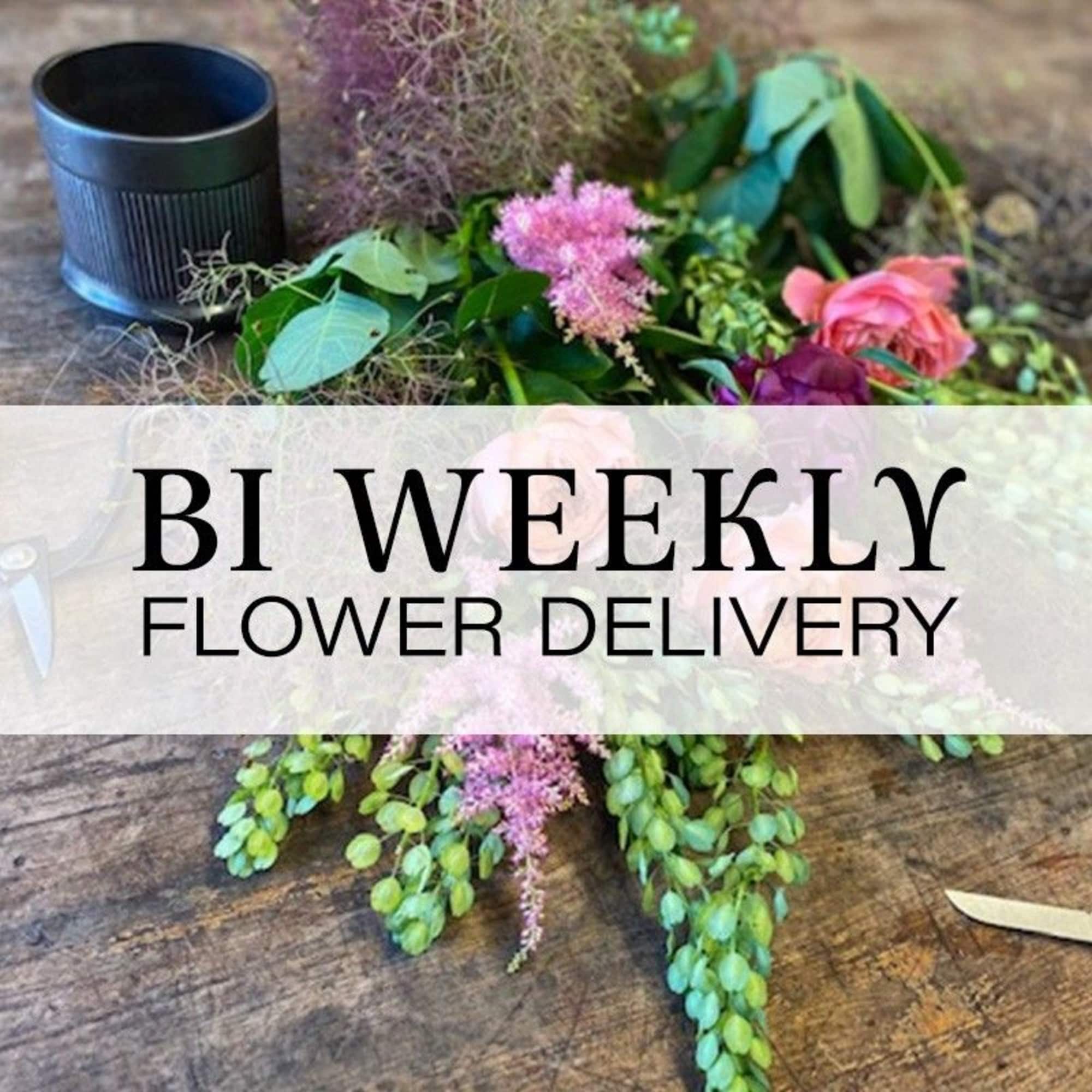 We gather the flowers and deliver them; you will be the creator.
All We gather the flowers and deliver them; you will be the creator.
All