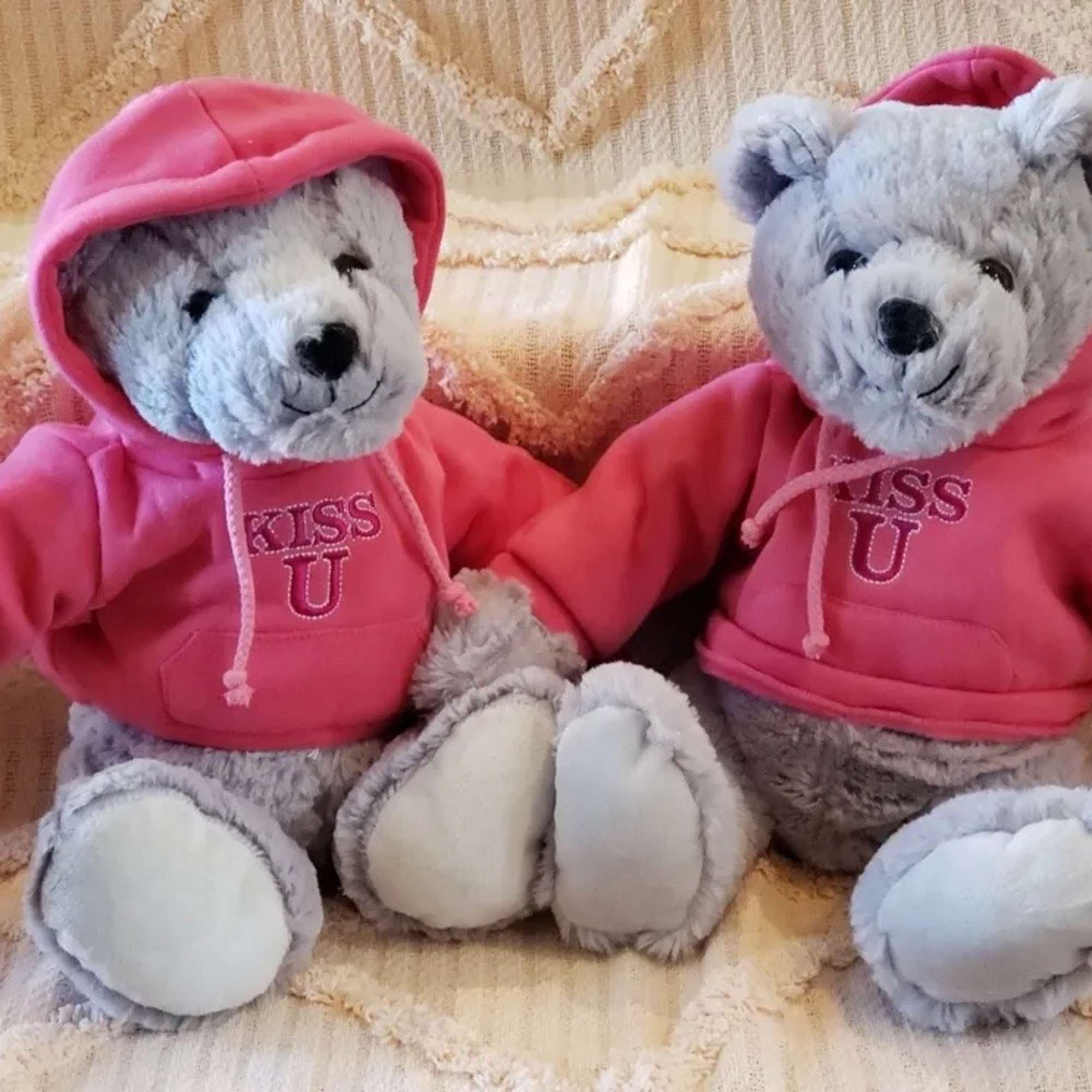 PLUSH ANIMALS IN HOODIES  (assorted) in Embroidered Hoodie (sits 11.5 inches