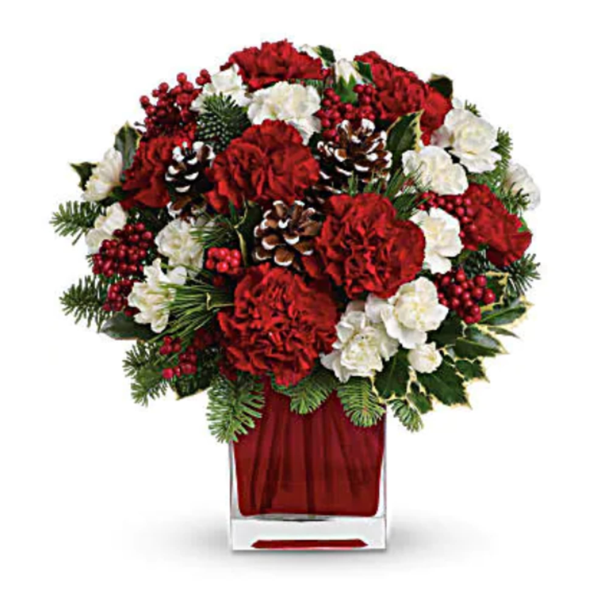 Deliver a winter's day delight. This sweet bouquet includes red carnations and Deliver a winter's day delight. This sweet bouquet includes red carnations and