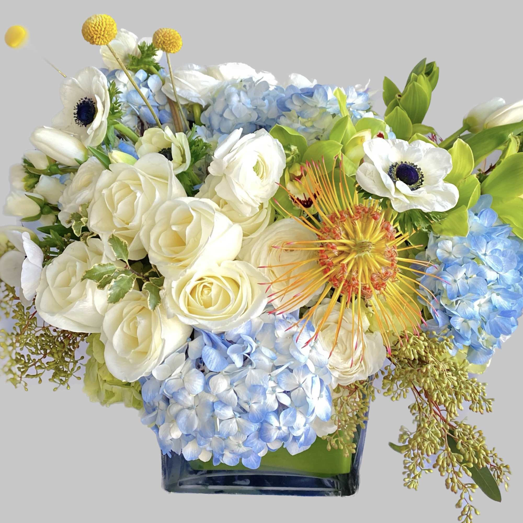 Baby blue hydrangeas, white roses, green cymbidium orchids bundle up in a