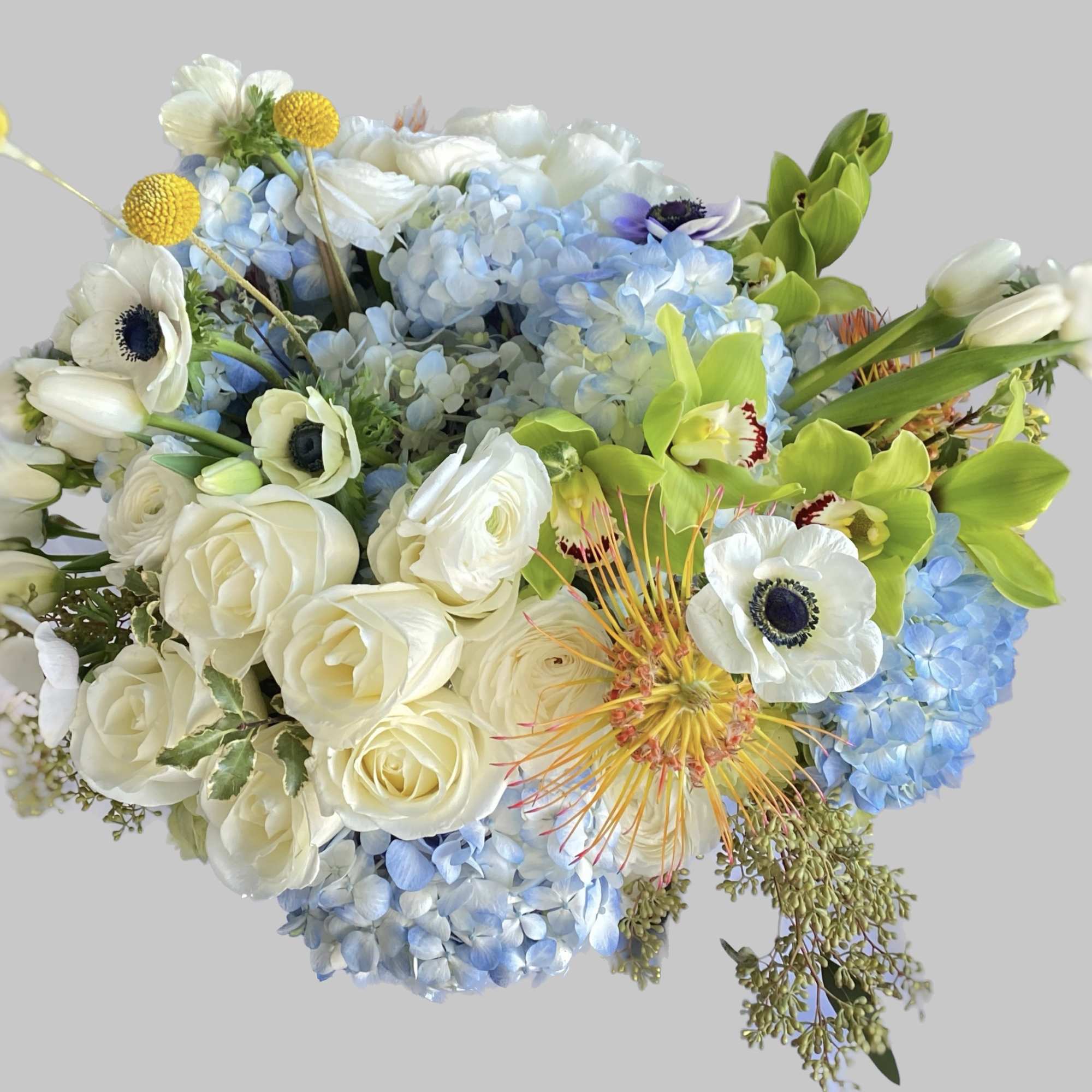 Baby blue hydrangeas, white roses, green cymbidium orchids bundle up in a