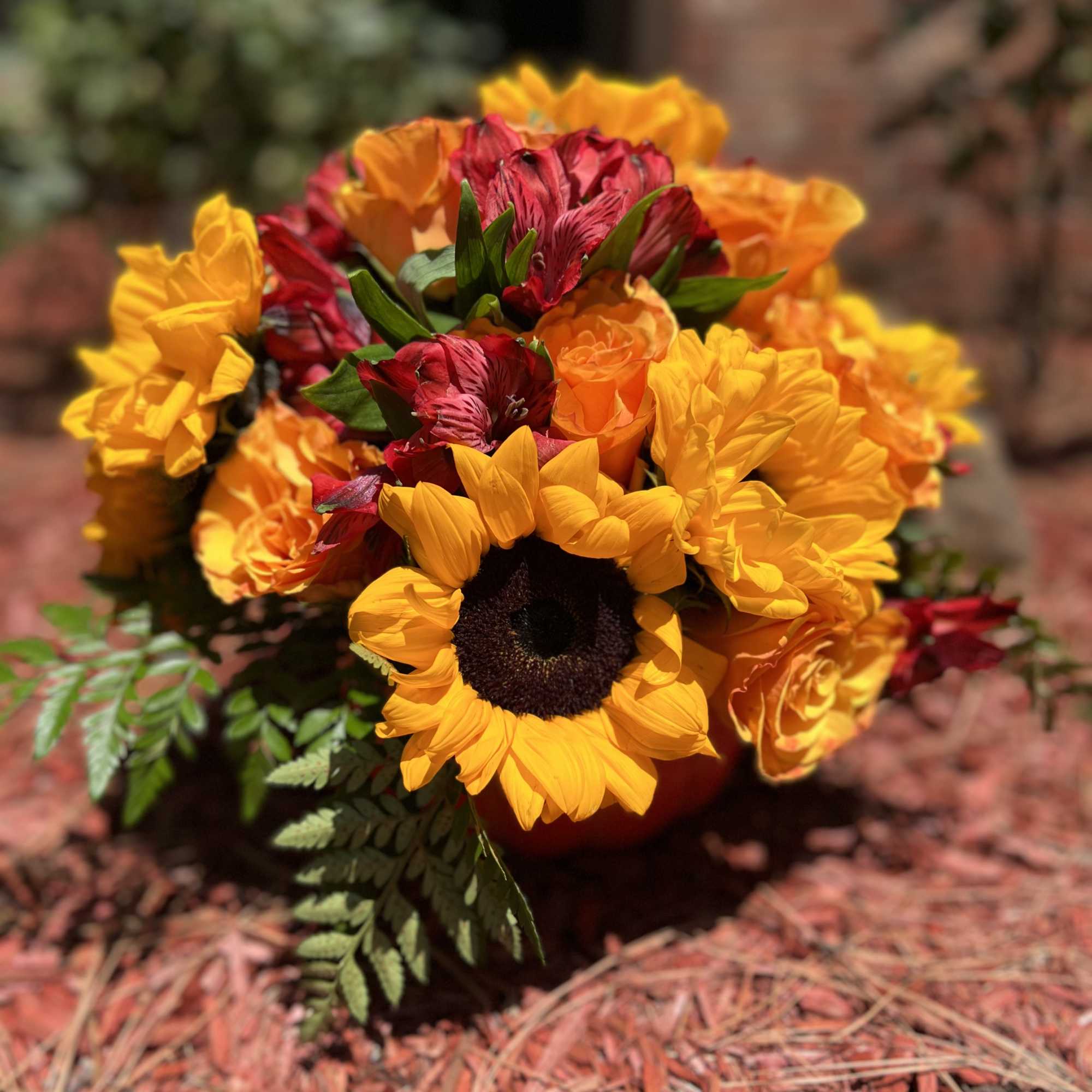 Designers Choice of an array of orange roses, bold and bright sunflowers