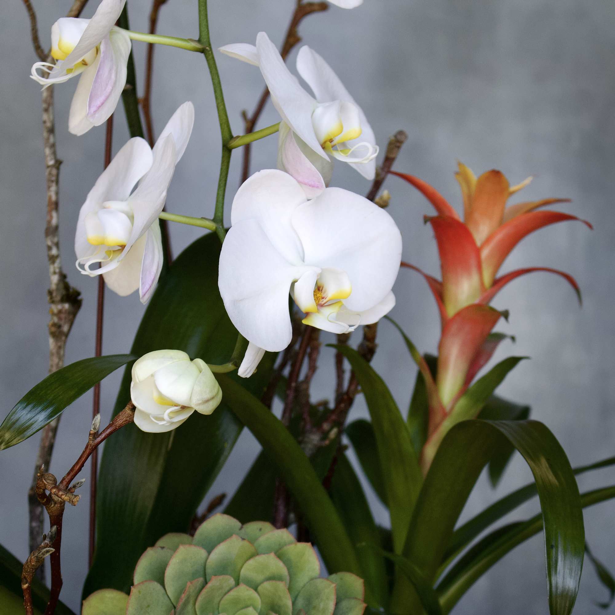 A superb design in so many ways Beverly Hills Florist presents White