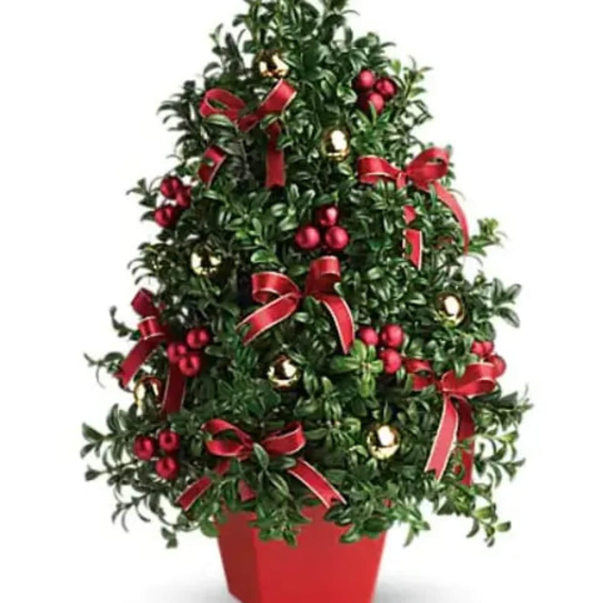 Don&#039;t let a lack of space dampen your spirits! This &quot;tree&quot; made