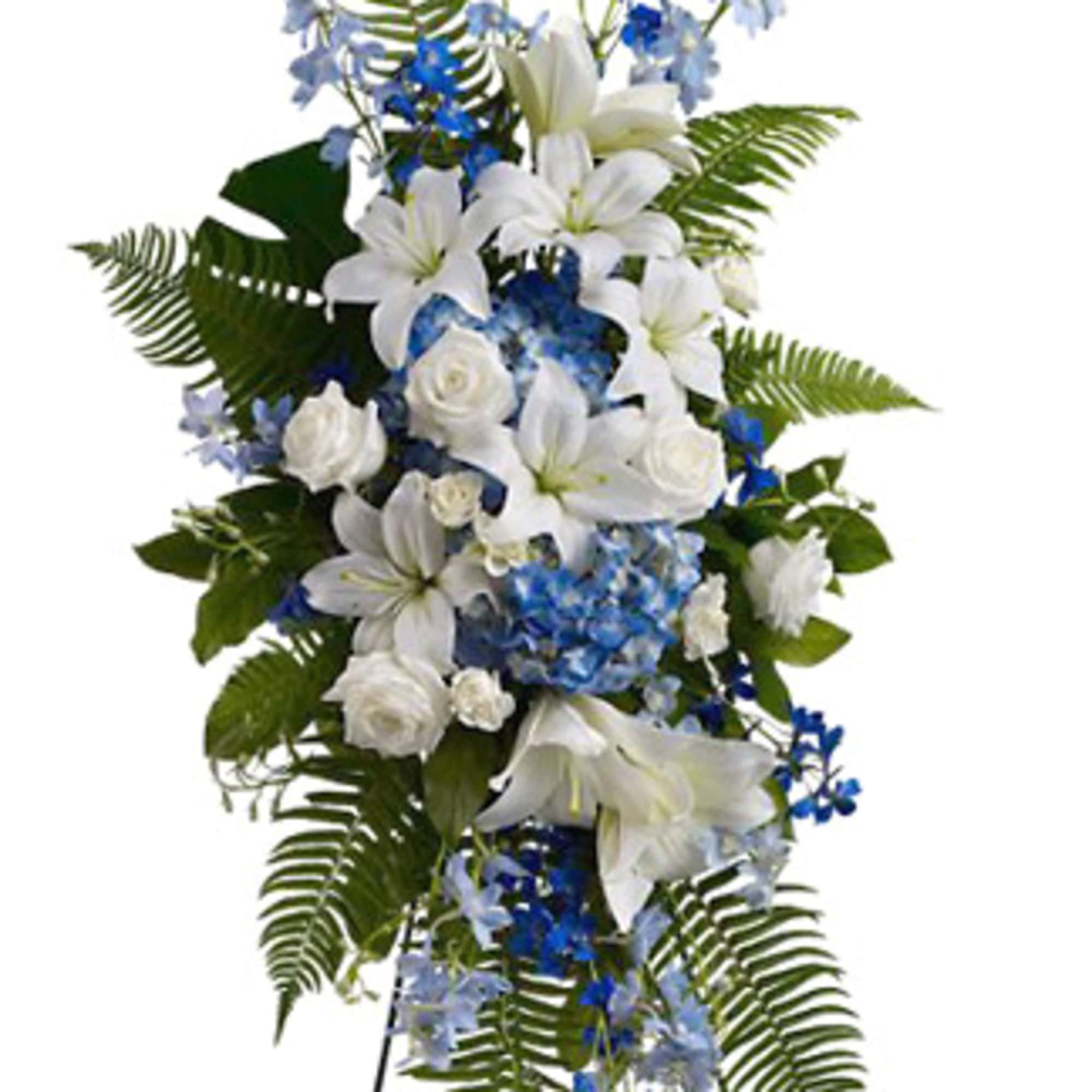 Tranquil blue and white flowers reminiscent of a soft ocean breeze offer