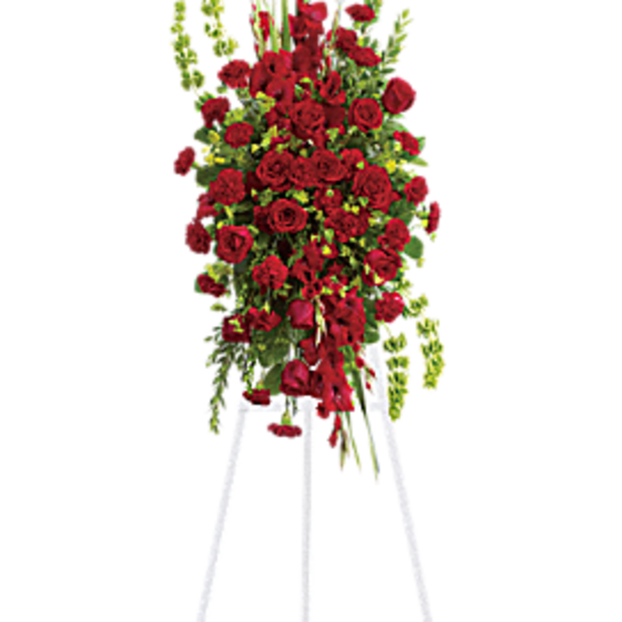 This elegant, all red funeral spray conveys compassion and deep devotion. Presented