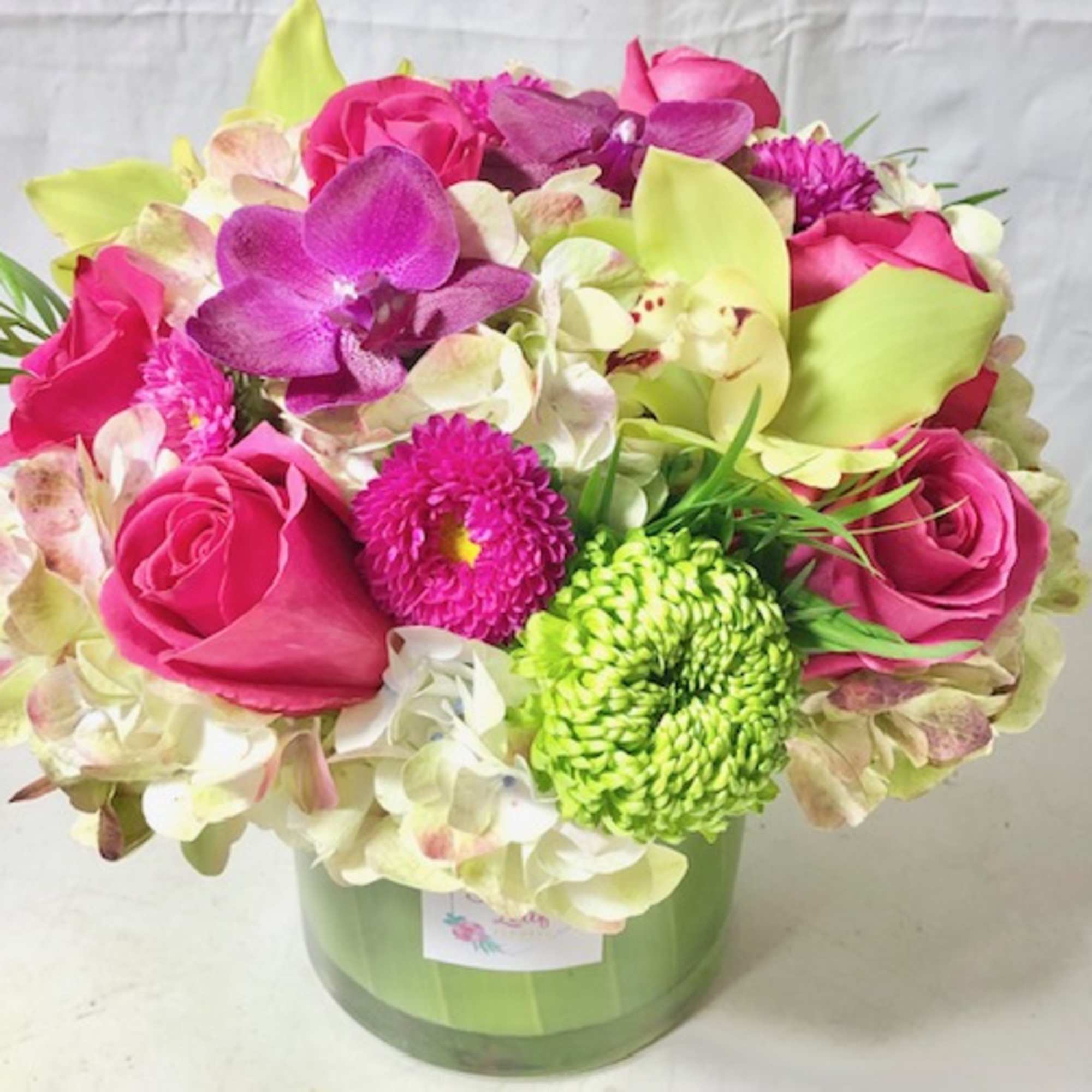 Designer&#039;s Choice - Colorful