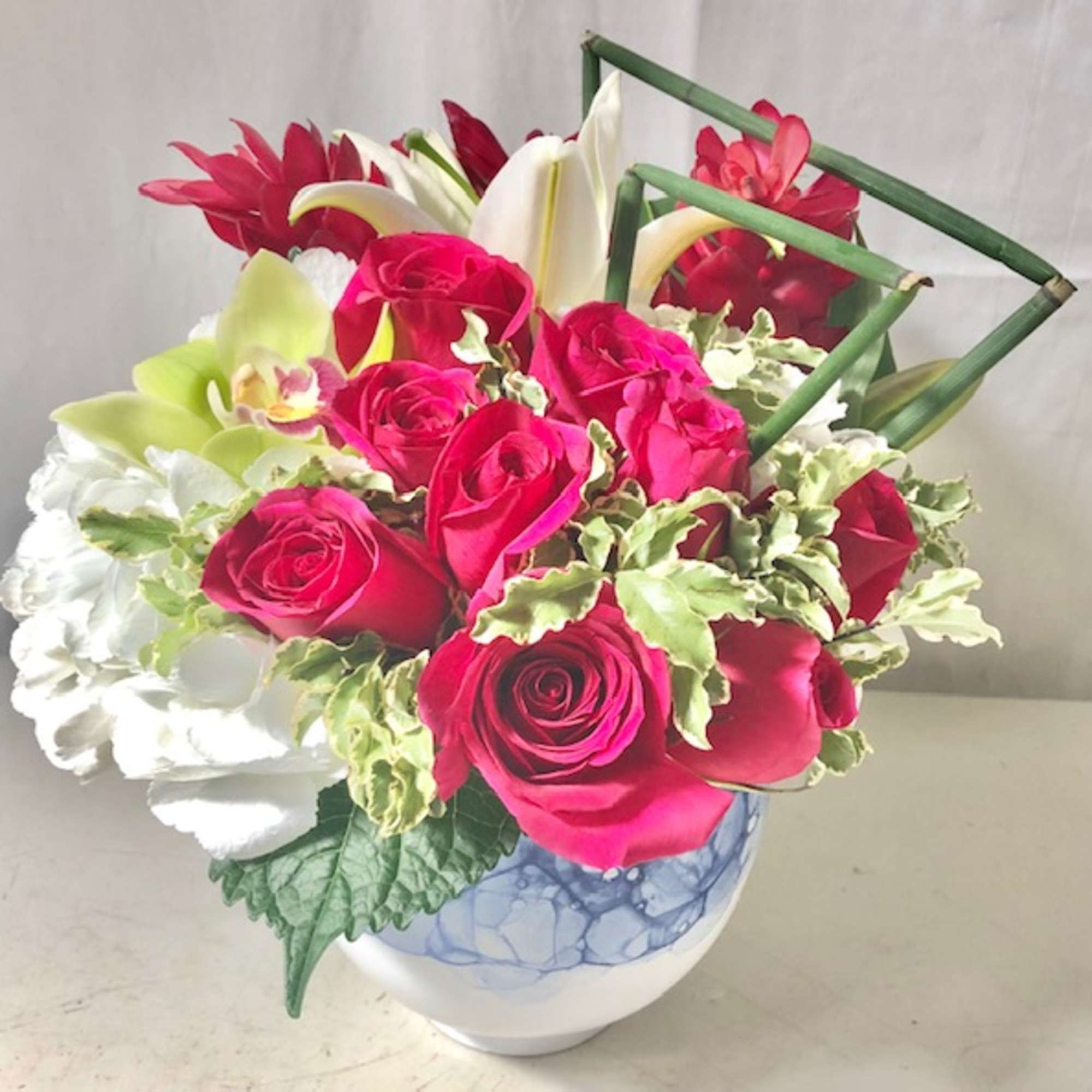 Designer&#039;s Choice - Colorful