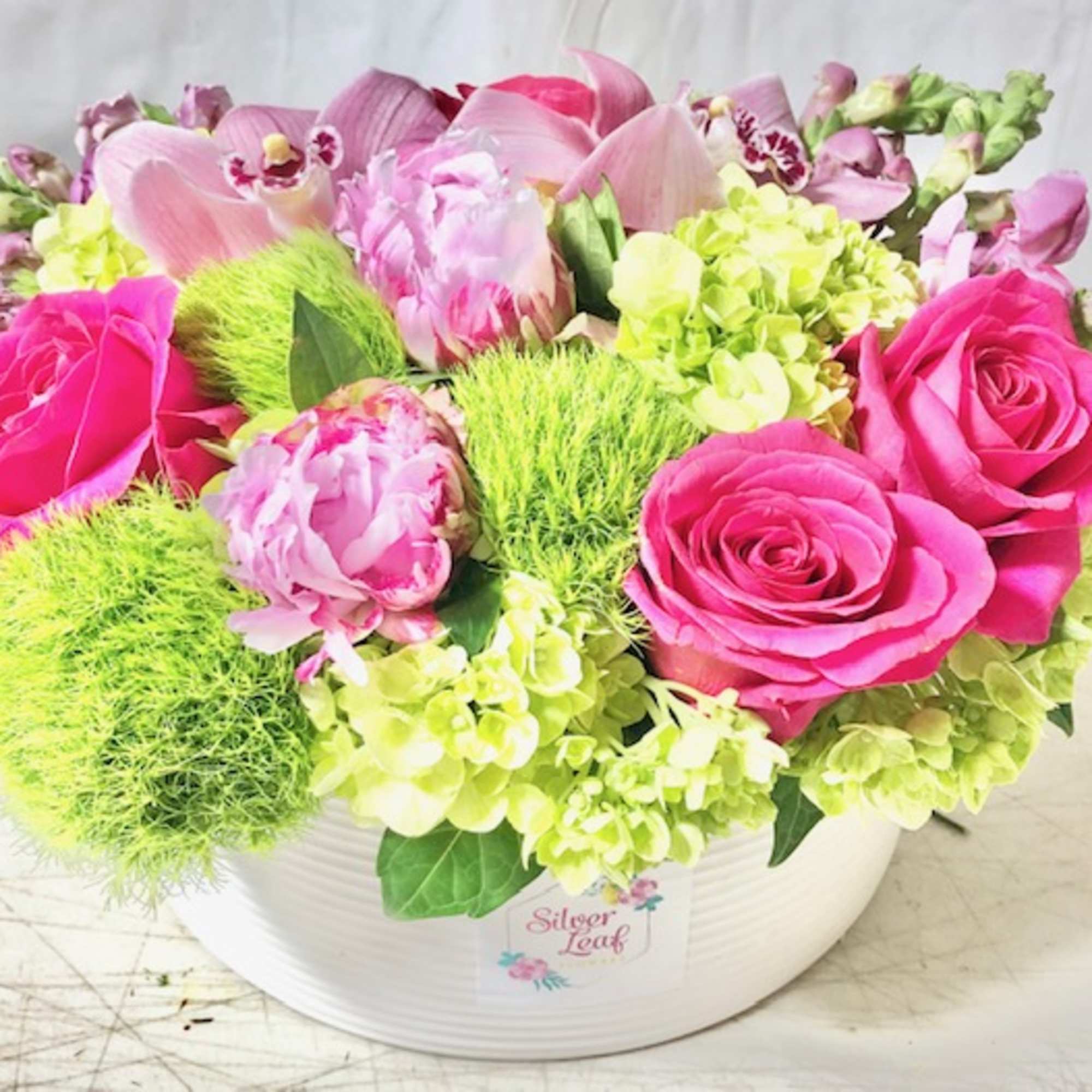 Designer&#039;s Choice - Colorful