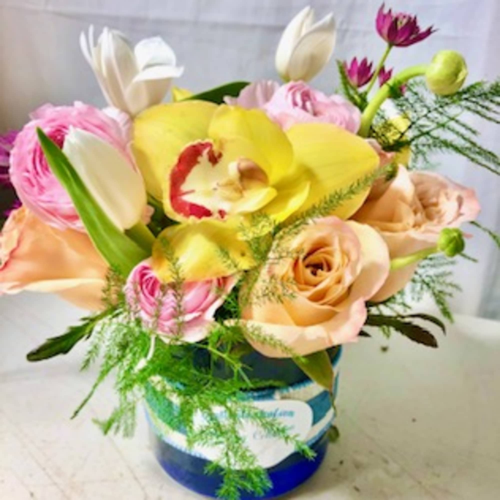 Designer&#039;s Choice - Colorful