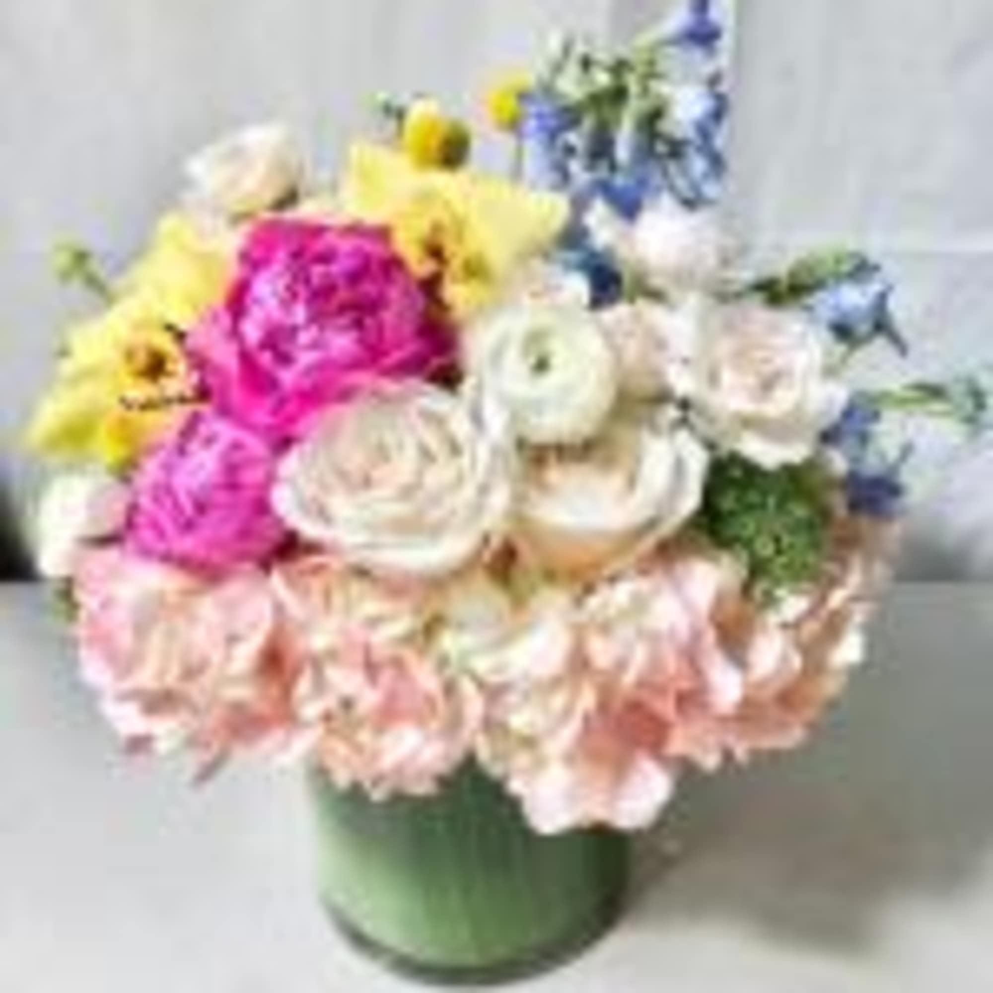 Designer&#039;s Choice - Colorful