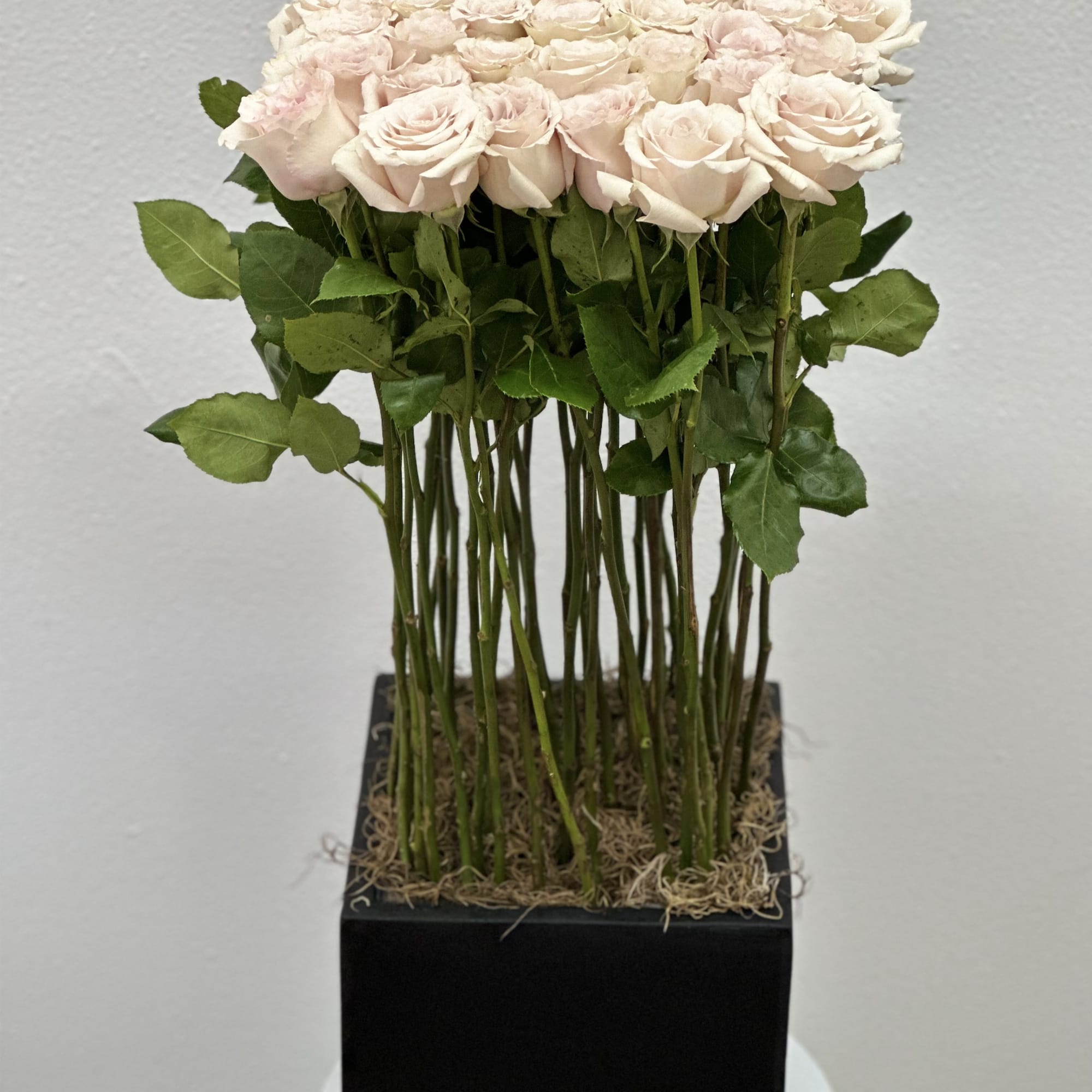 An elegant arrangement in a black square vase, filled with beautiful quicksand