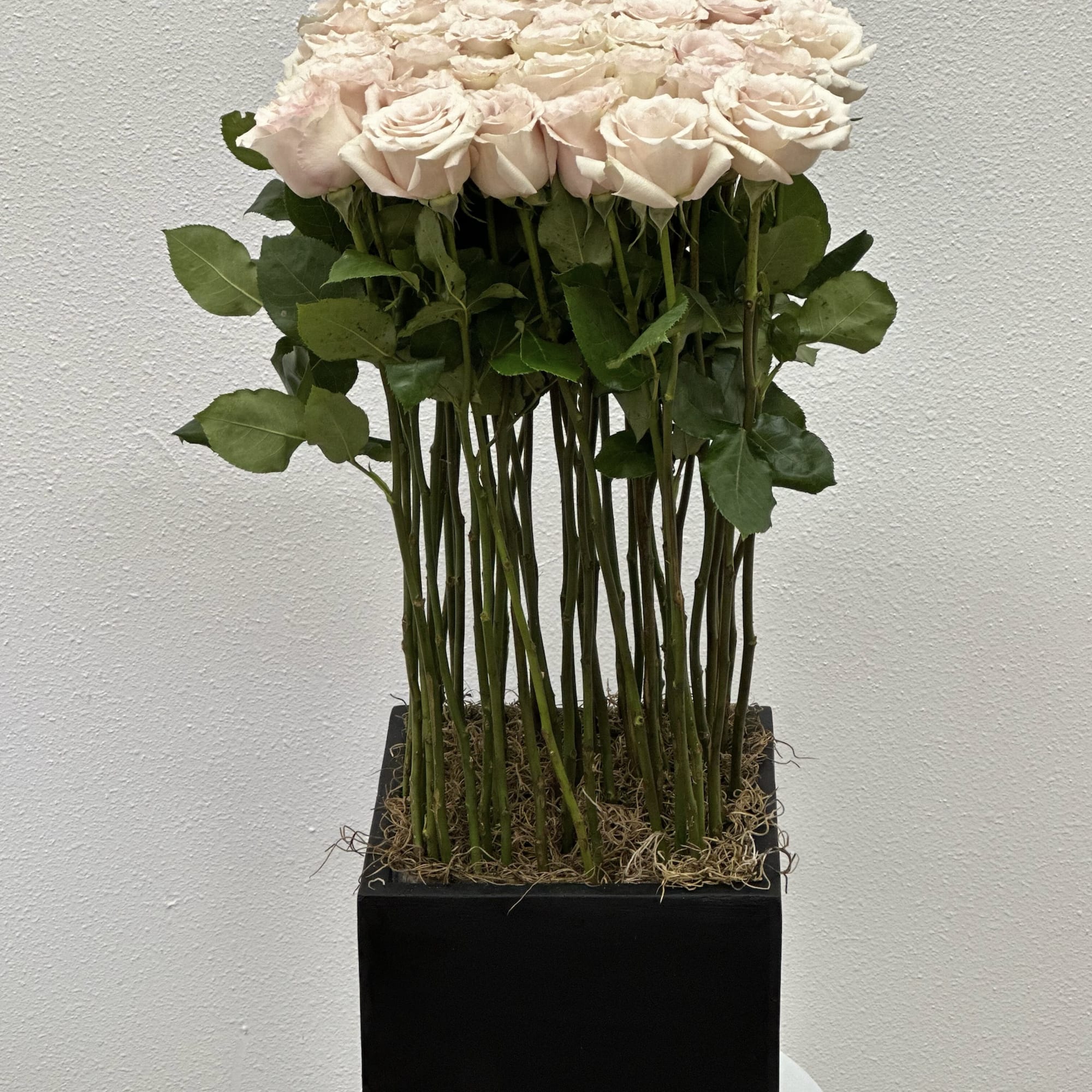 An elegant arrangement in a black square vase, filled with beautiful quicksand