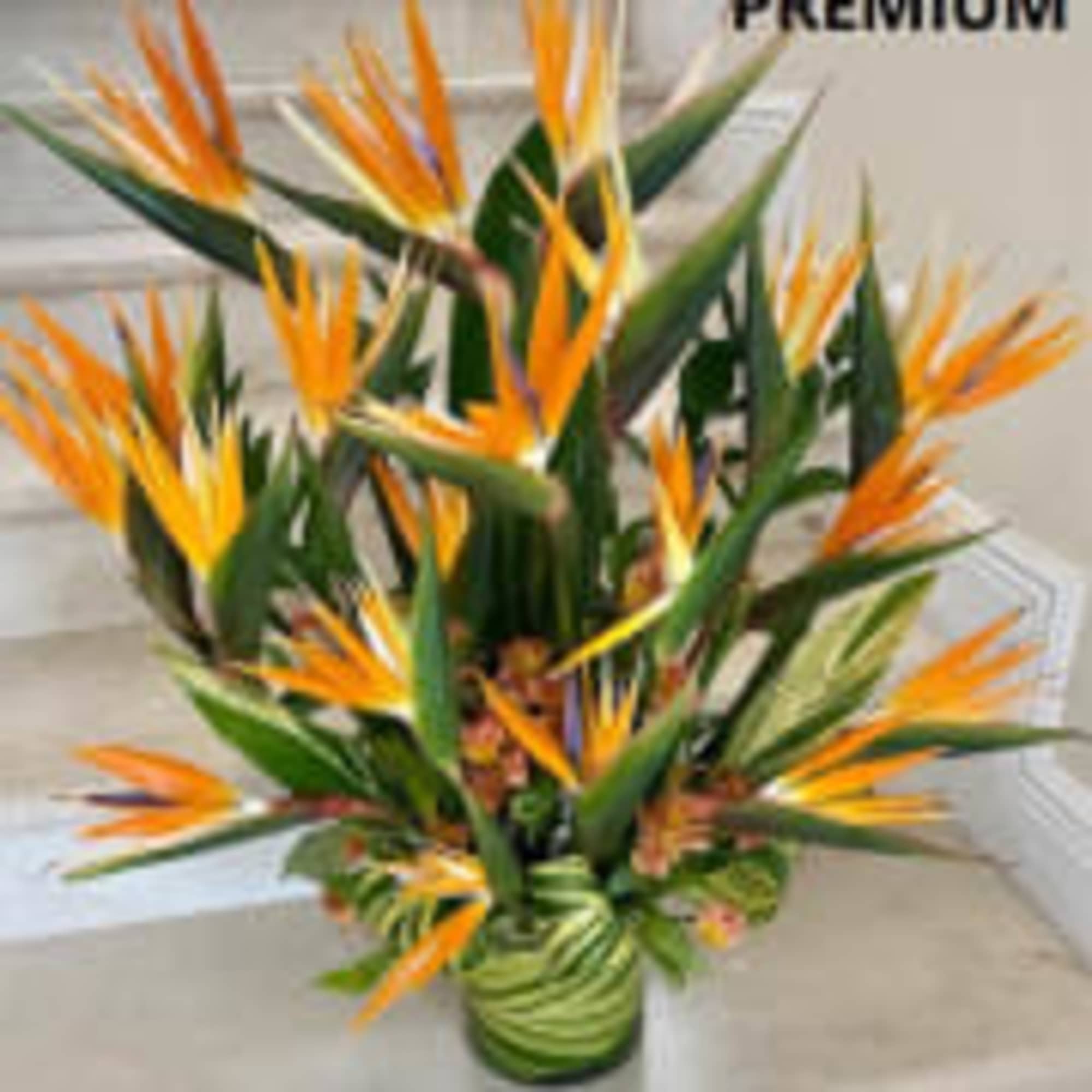 20 Birds of Paradise with tropical leaves and filler flowers to enhance