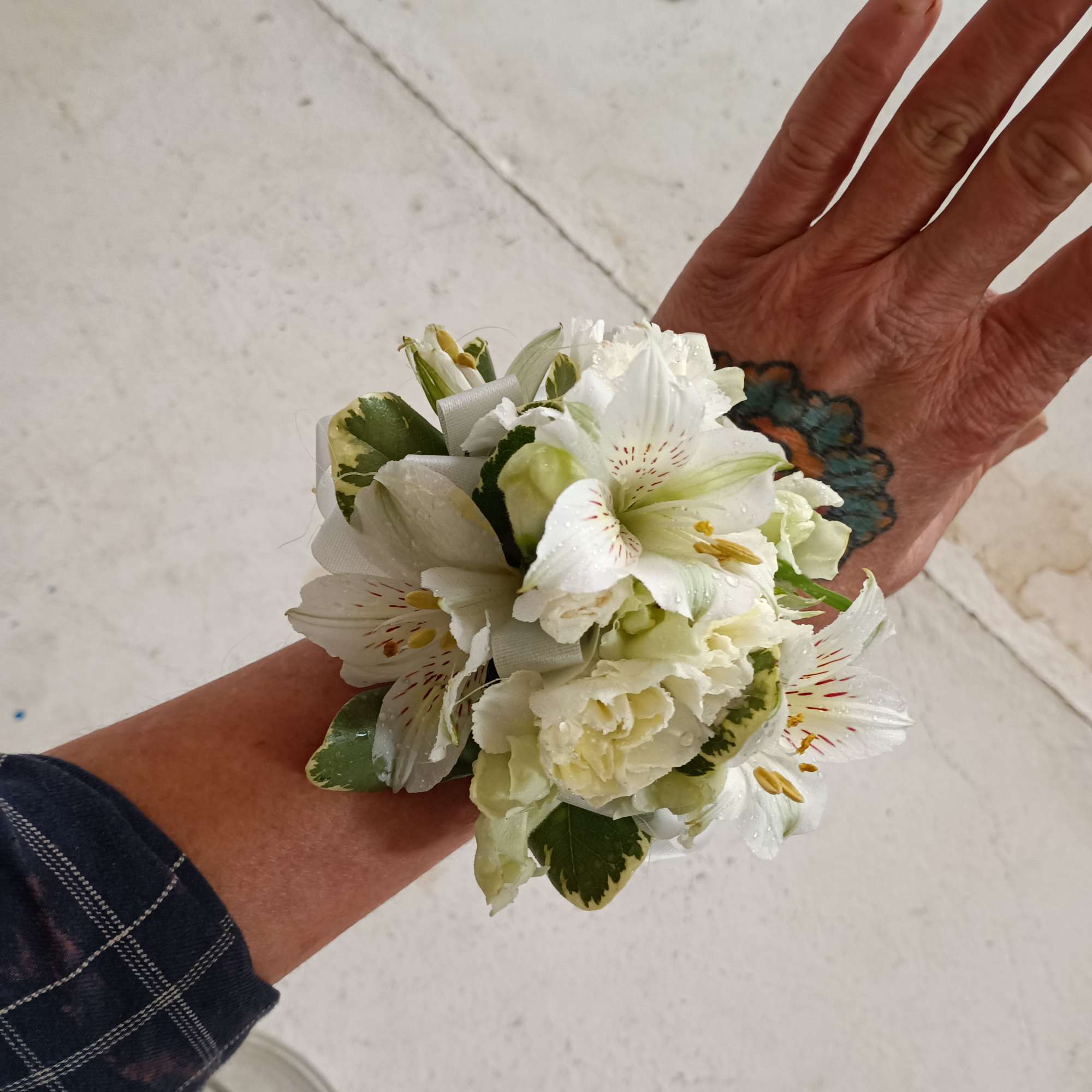 All white alstroemeria, spray carnations and greens corsage