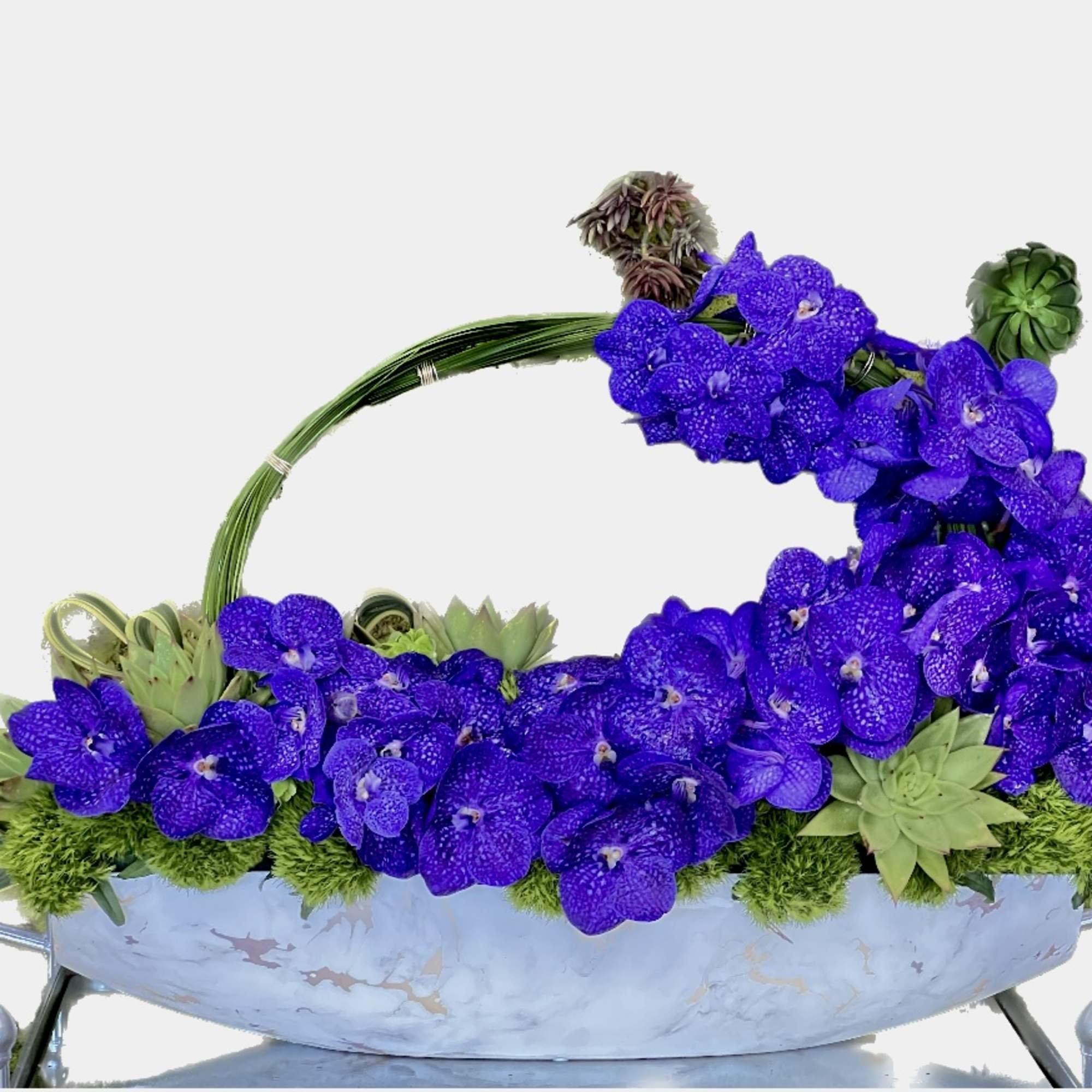 vanda orchid 
beautiful arrangement purple vanda
