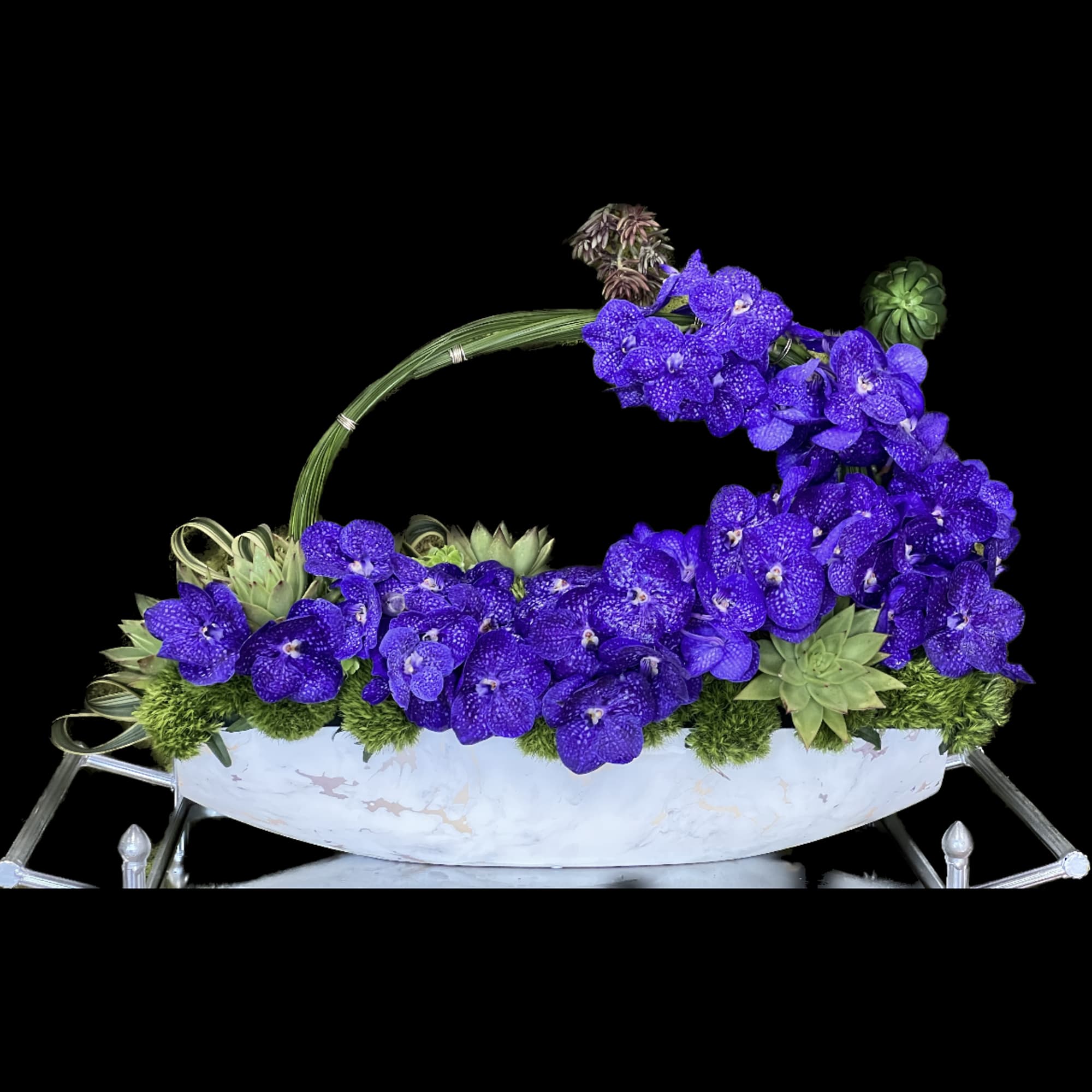 vanda orchid 
beautiful arrangement purple vanda
