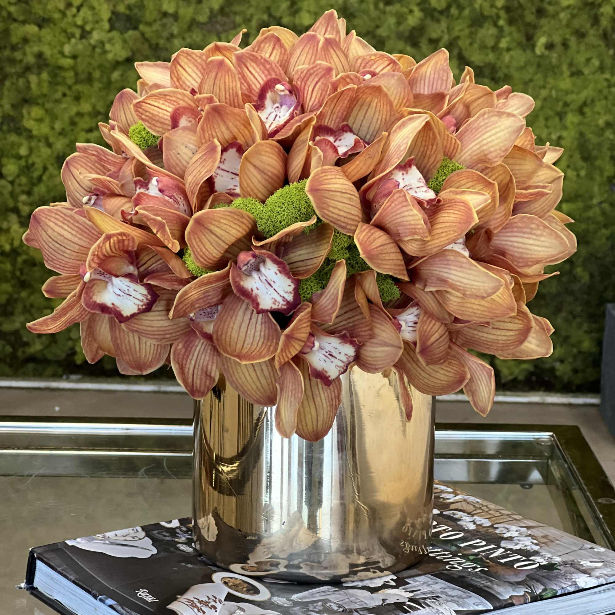 Cymbidium orchid 