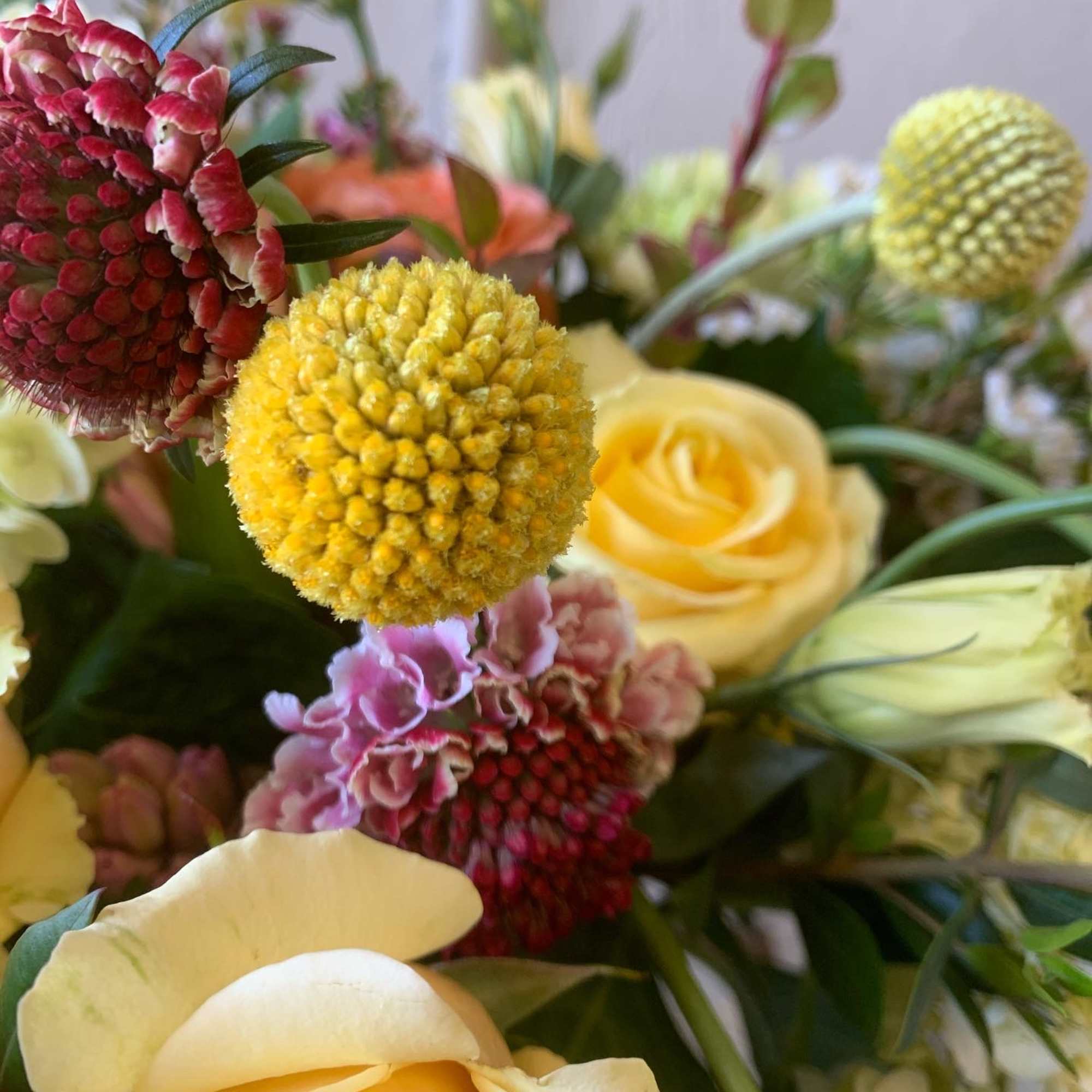 Creamy roses, lisianthus, craspedia and scabiosa are sure to brighten any day!