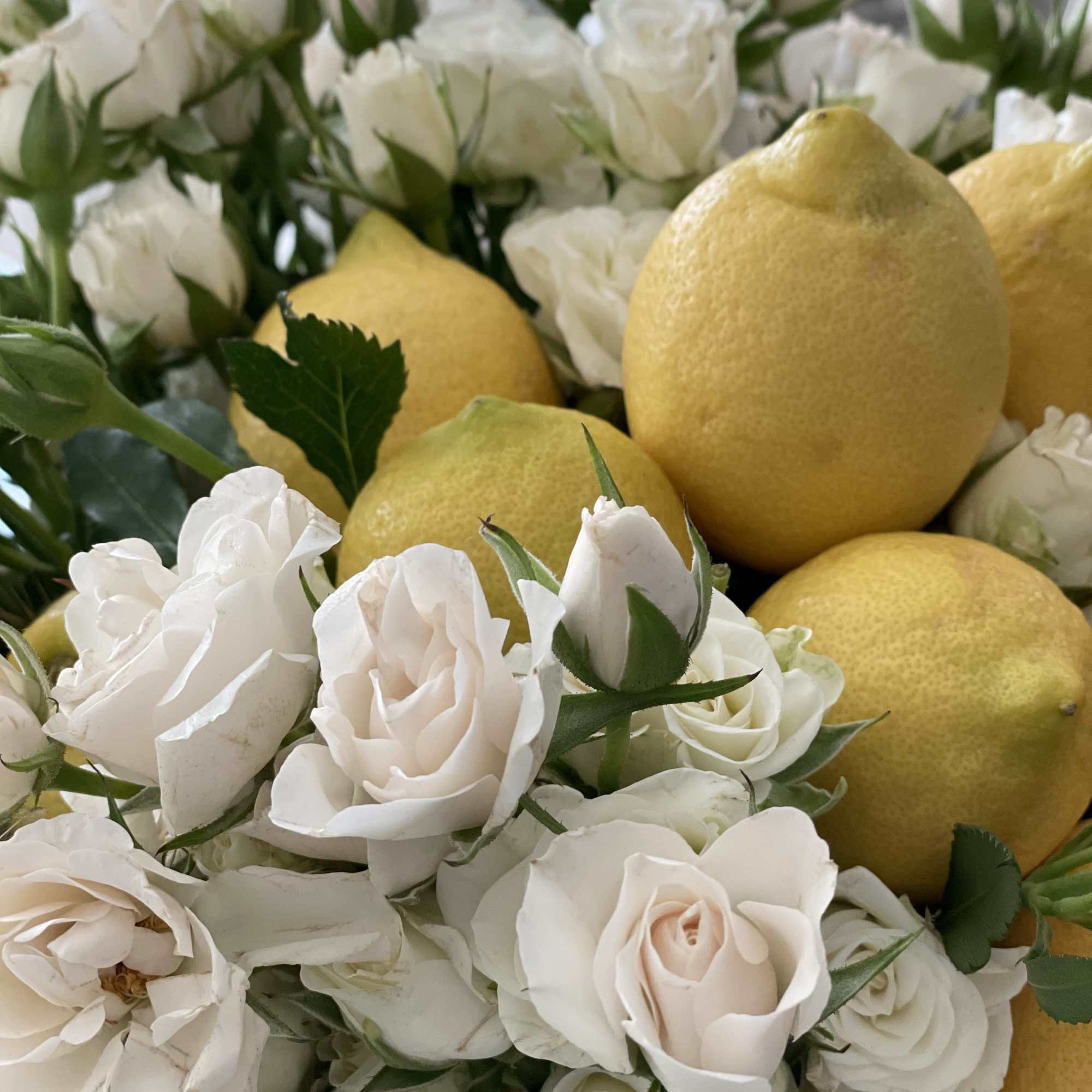 When life gives me lemons I throw a party ! Stunning arrangement