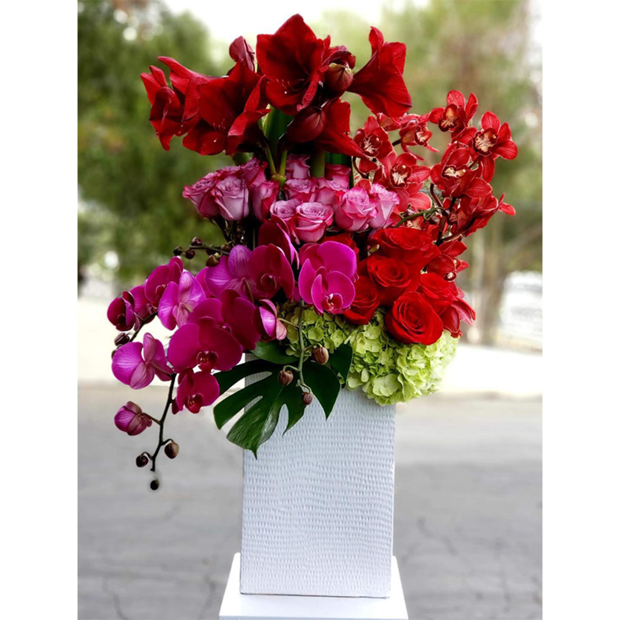 Transform any space into a floral paradise with Dave&#039;s Flowers&#039; gorgeous display