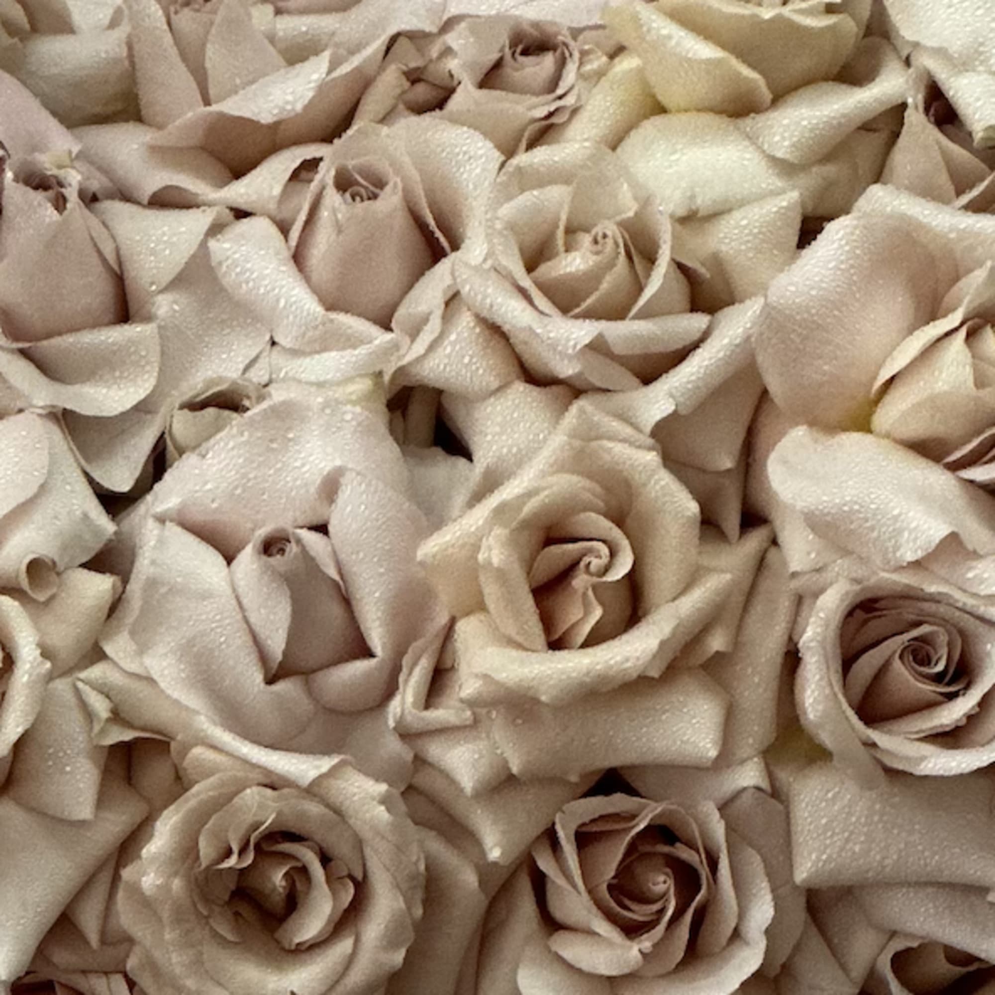 Bring beauty to the table with elegant arrangement, presented in a tall