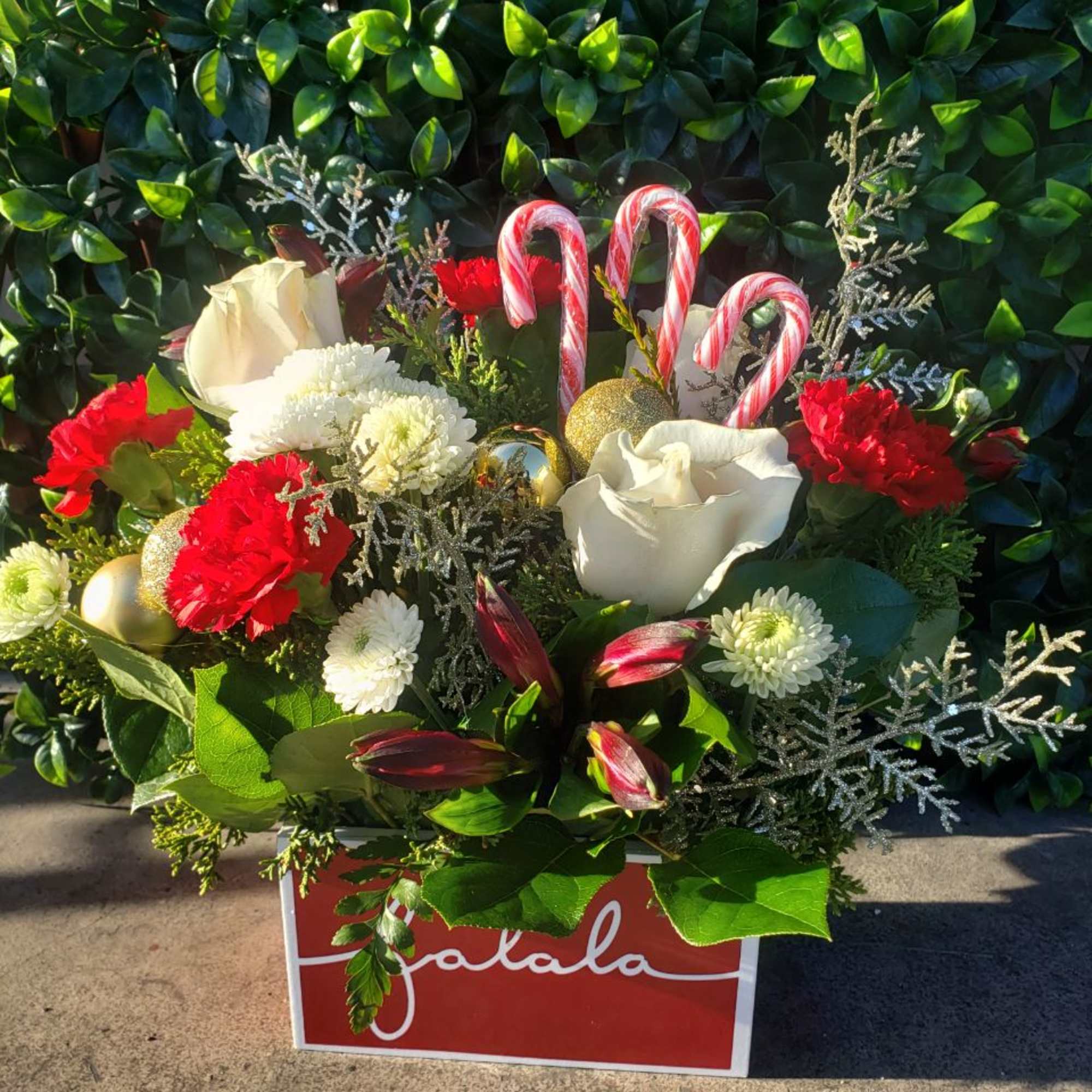 3 white roses, 4 red carnation, 3 red astromelia, 2 white buttons