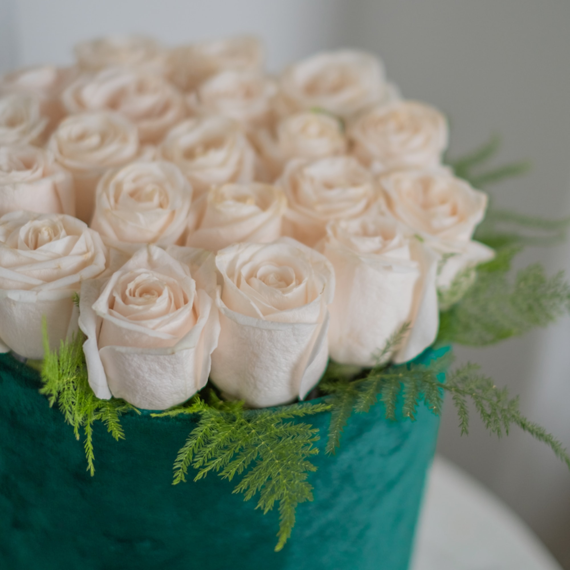 Our luxury box of white roses is a win-win option as all