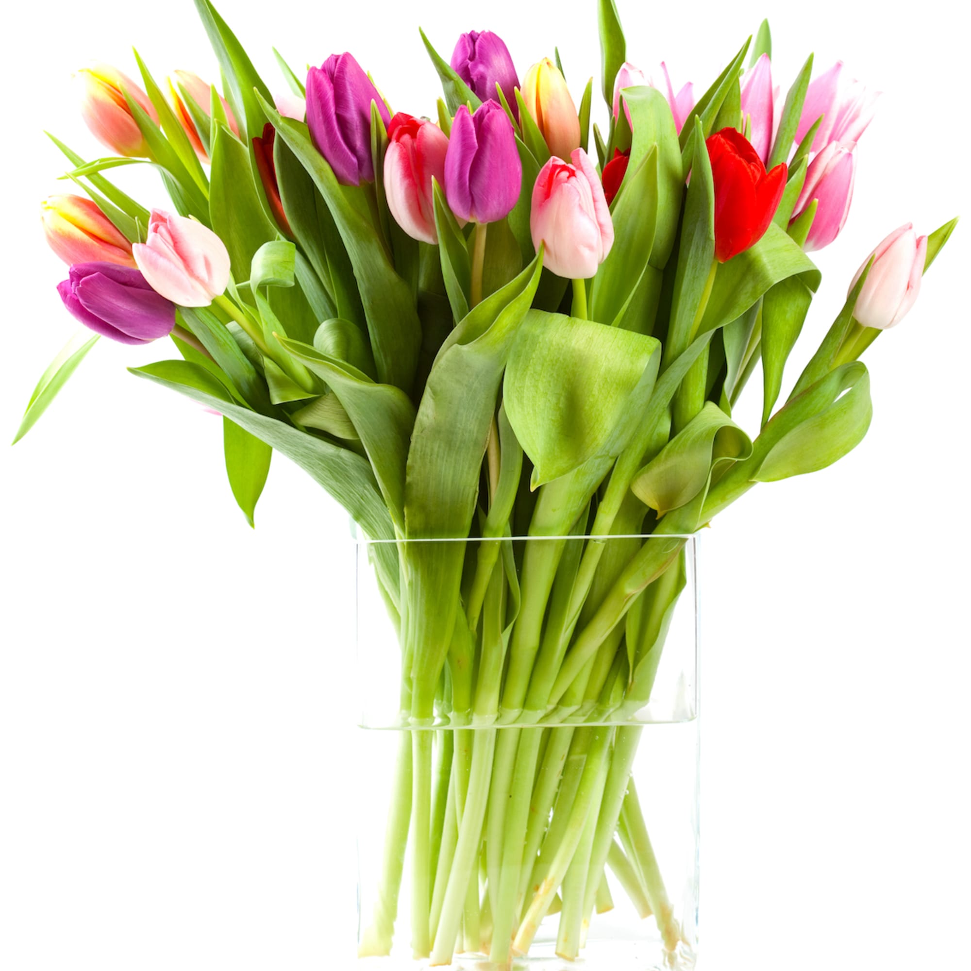 Design with passion made with love. We will incorporate your favourite blooms Design with passion made with love. We will incorporate your favourite blooms