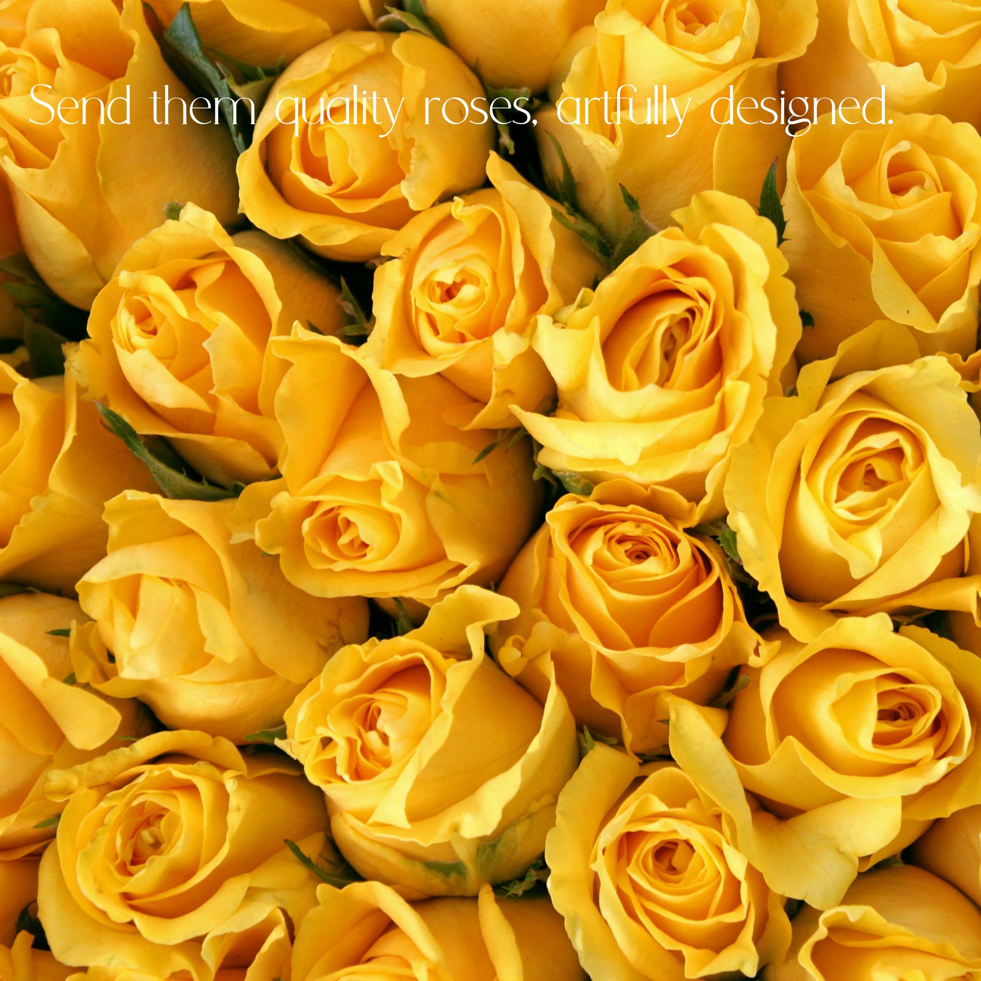 We will design your dozen, two dozen, three or more dozen roses