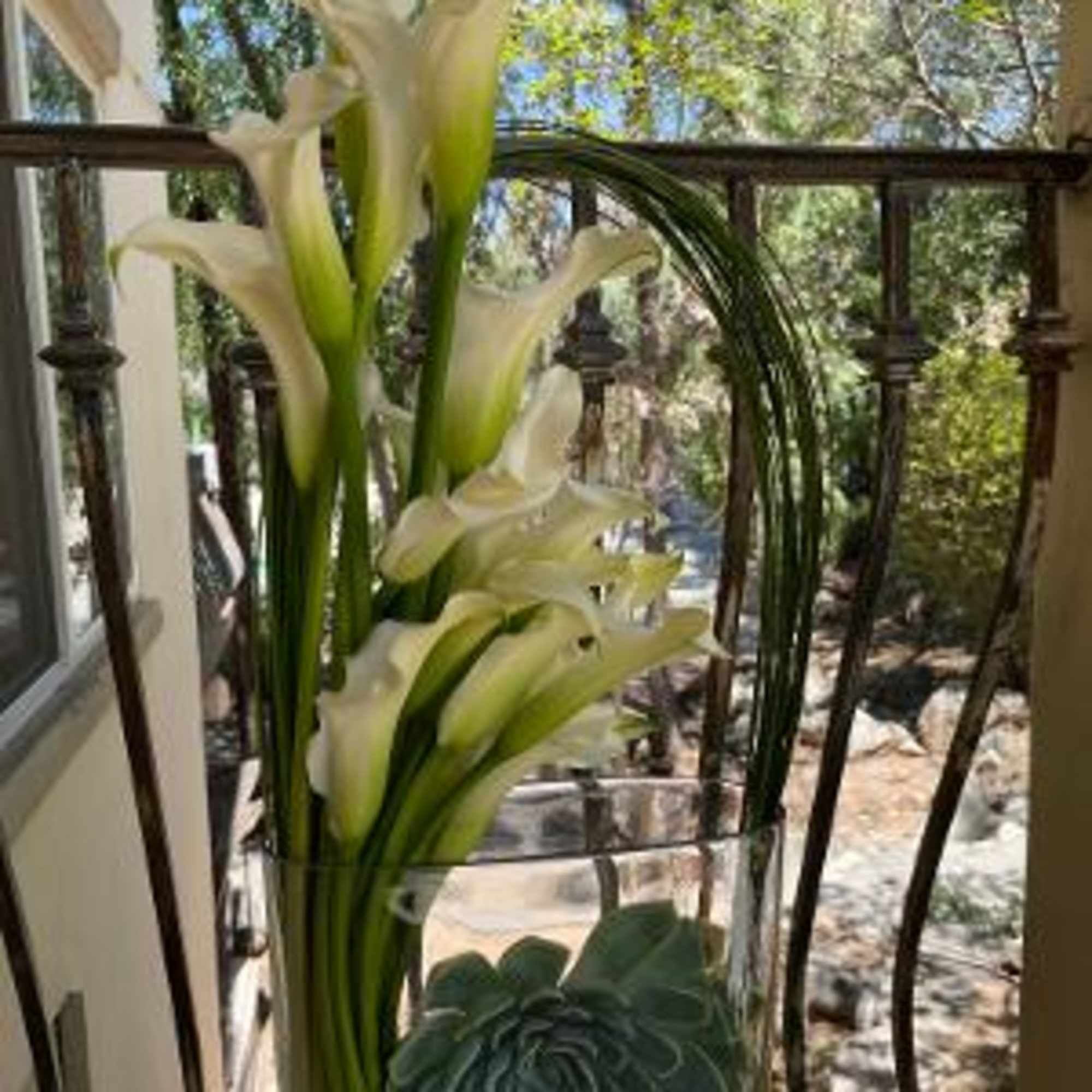 Experience the perfect blend of modernity and uniqueness with &quot;Maximus,&quot; an extraordinary