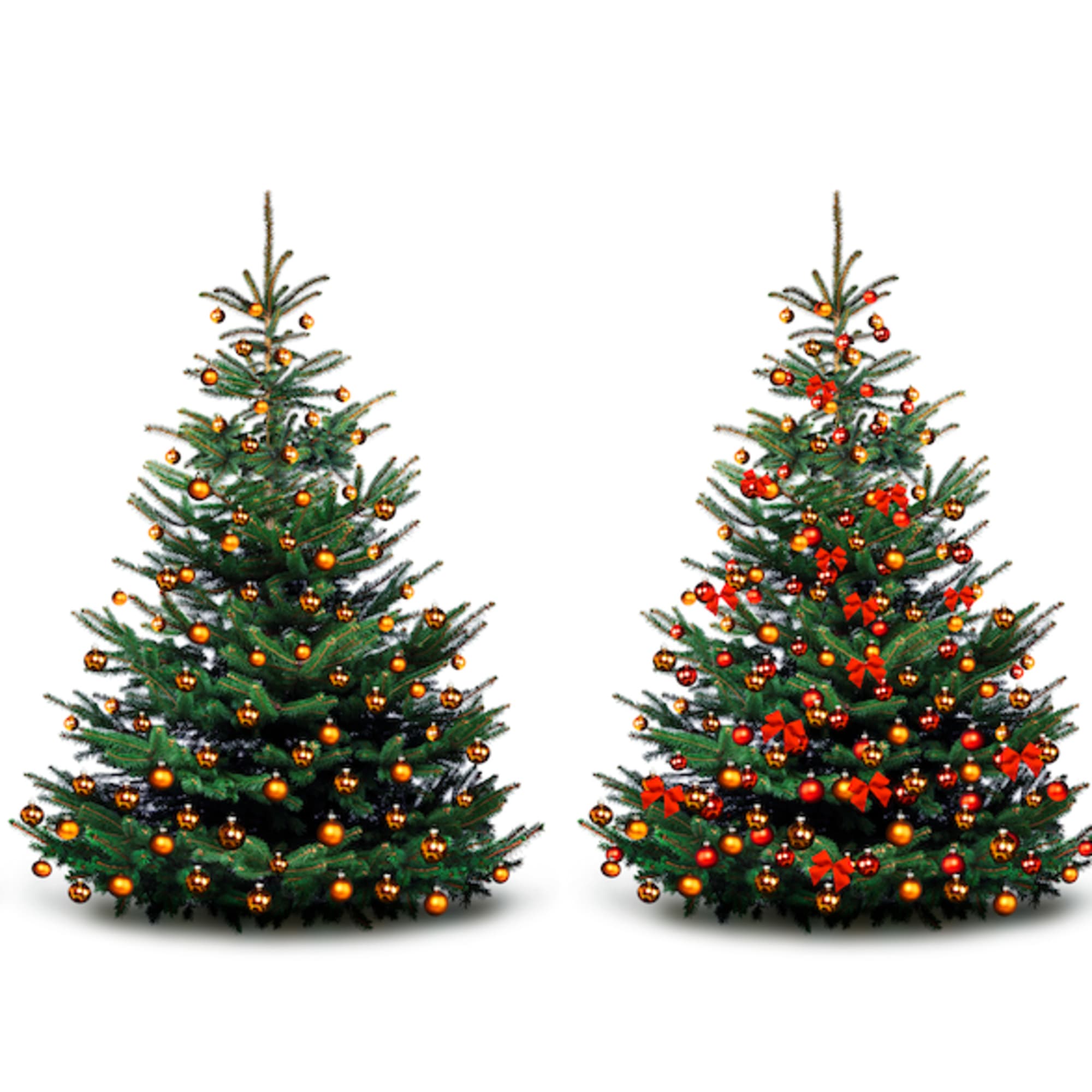 Transform your home into a winter wonderland with our enchanting Christmas tree Transform your home into a winter wonderland with our enchanting Christmas tree