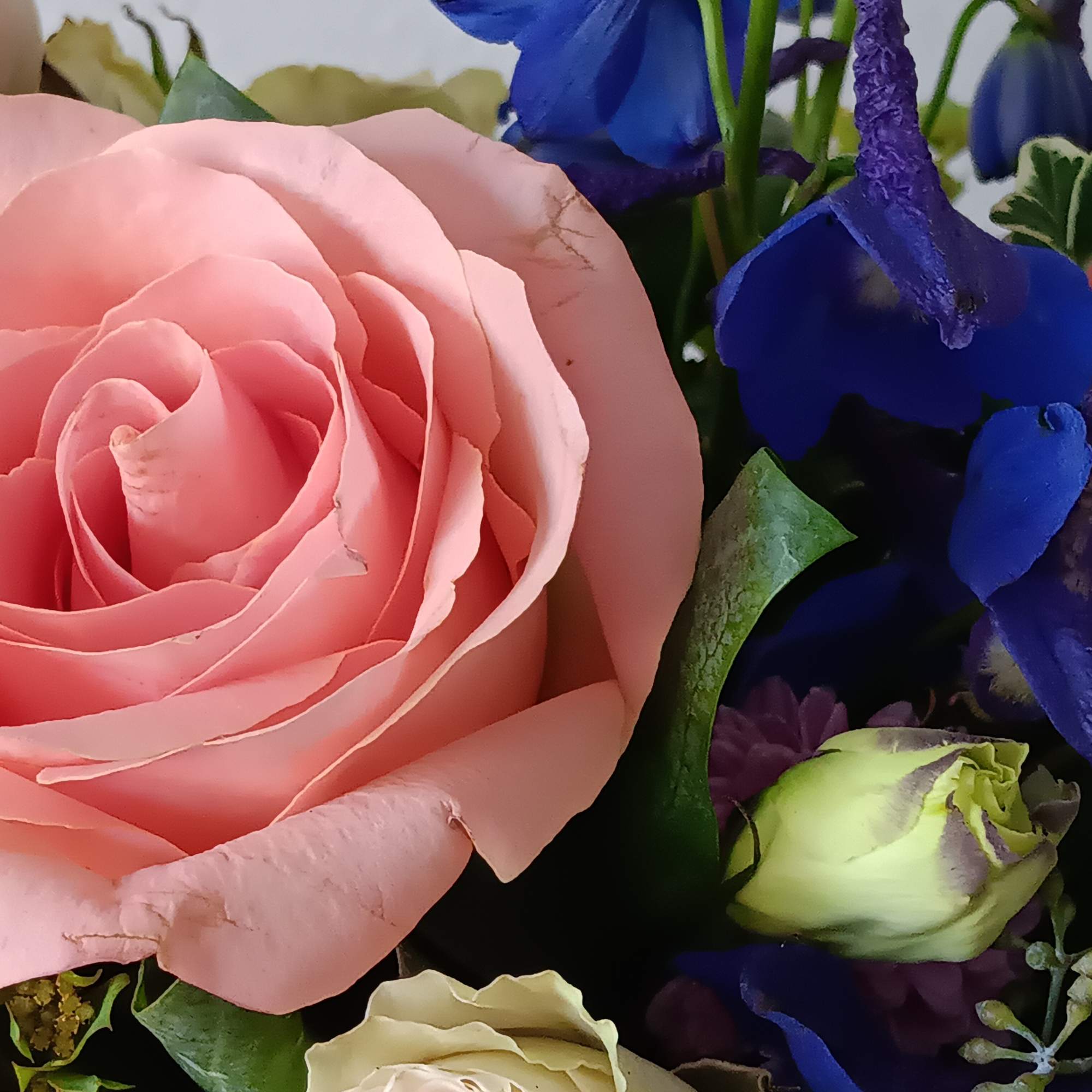 Express your love with the eloquence of Shakespeare - without saying a