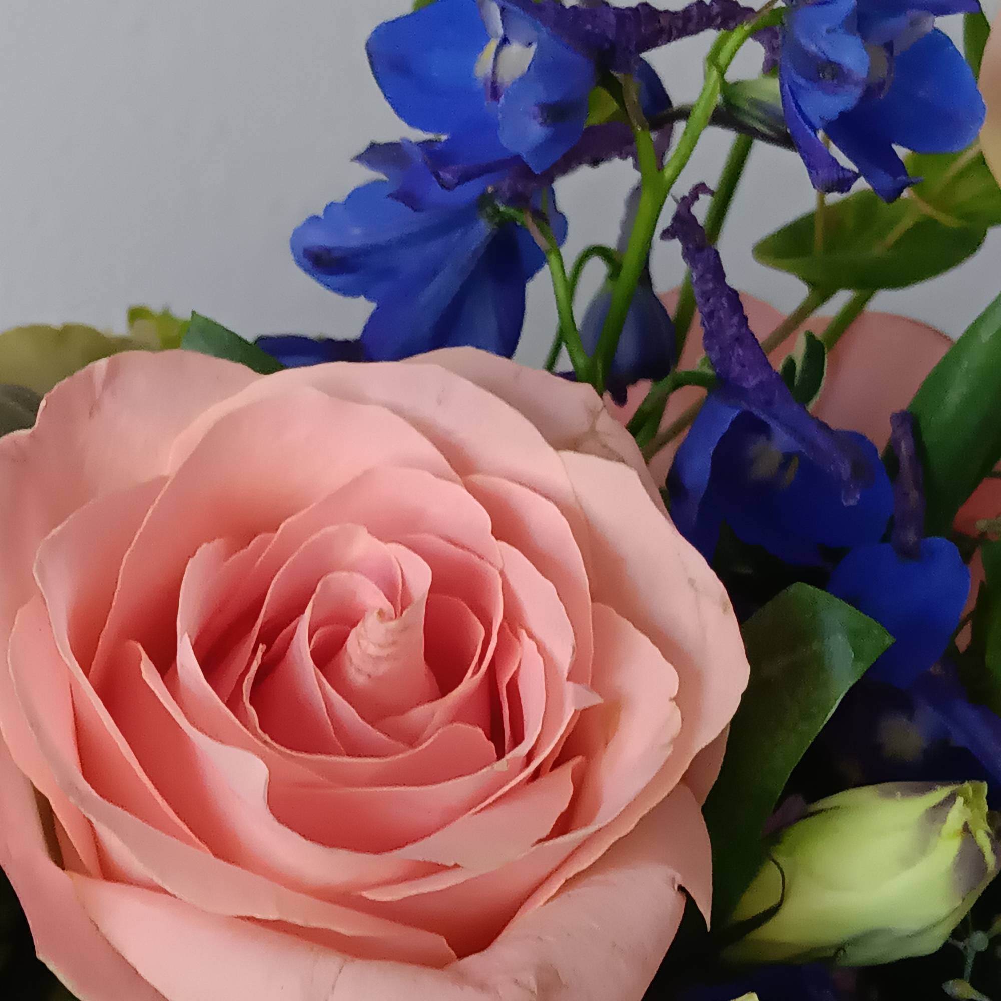 Express your love with the eloquence of Shakespeare - without saying a