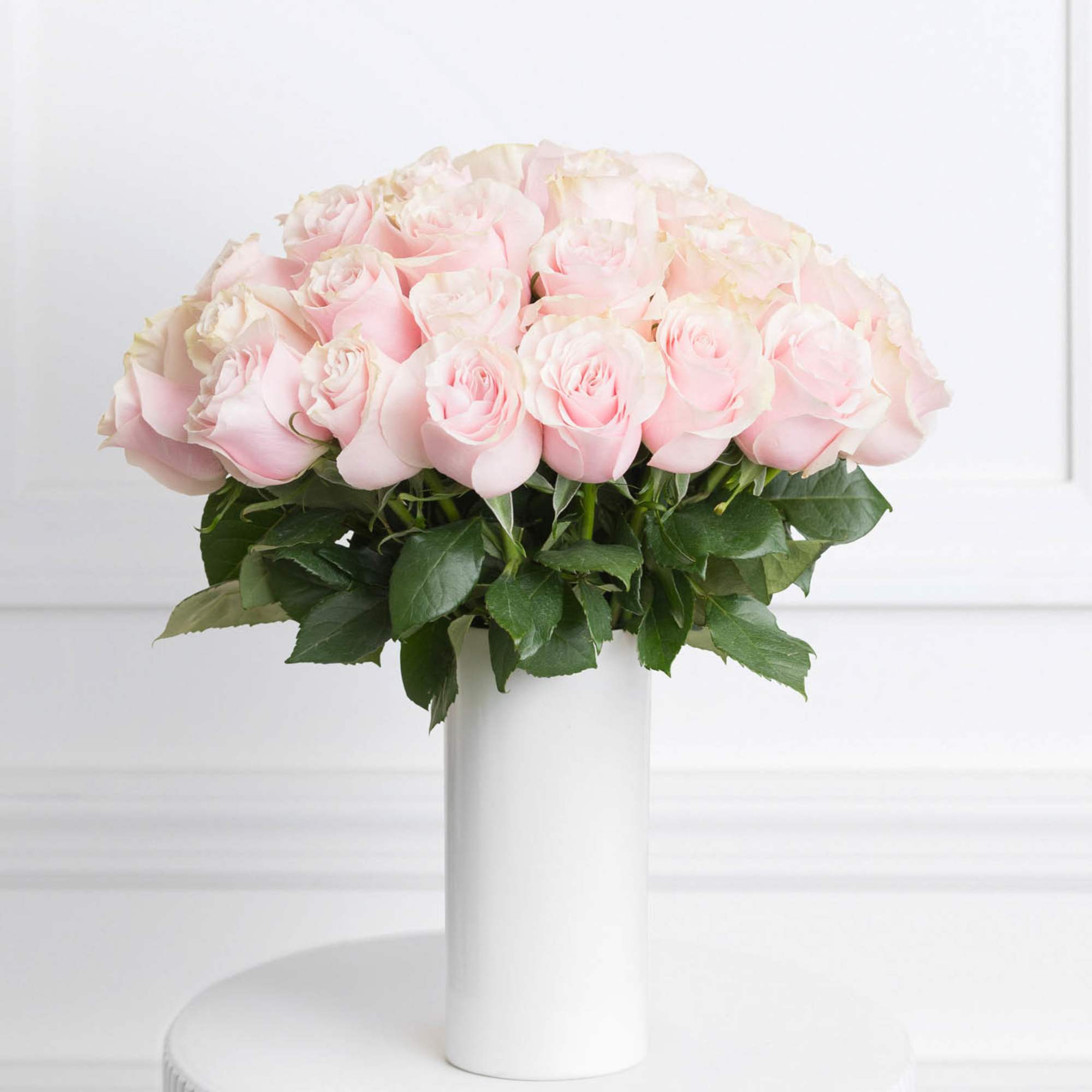 Ready for love at first sight? Enter Brigitte! These farm-fresh beauties are