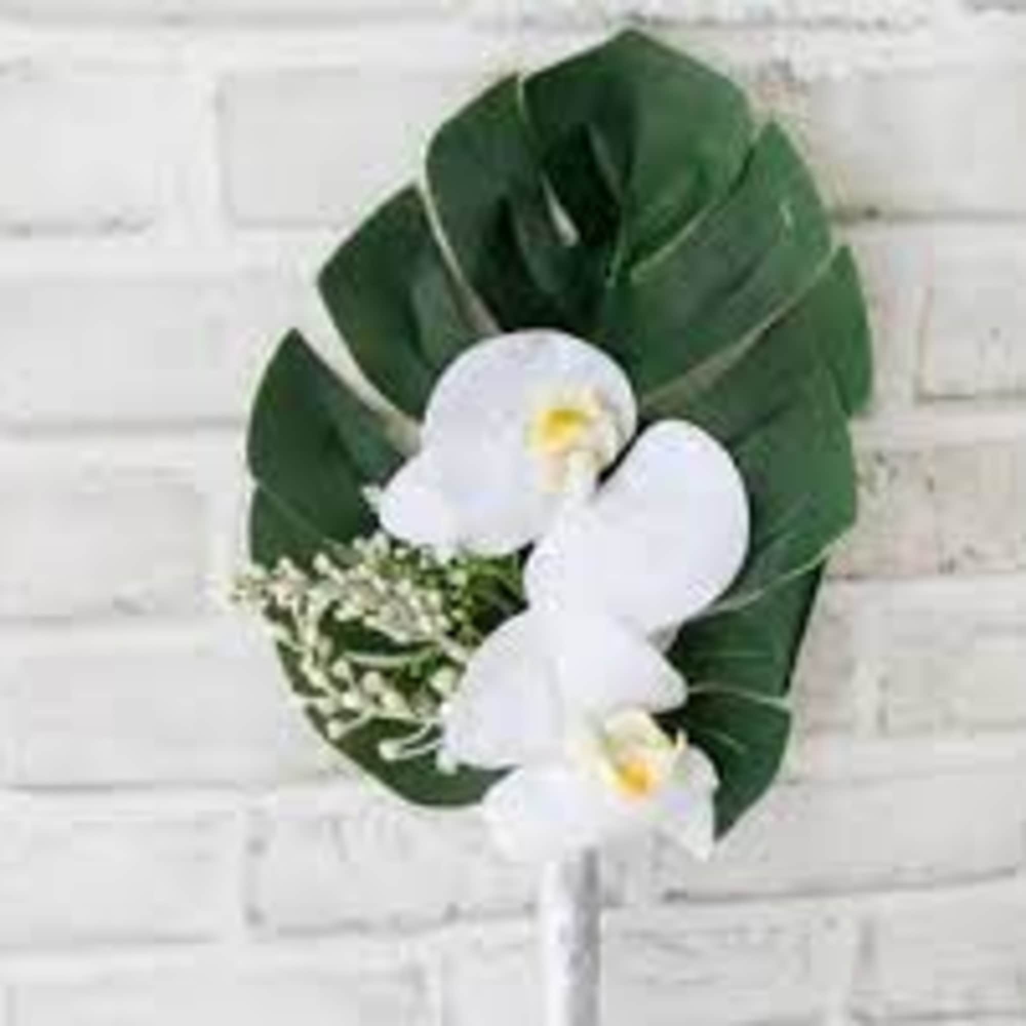 Our Palm Beach Collection captures the tropical beauty of Florida with the