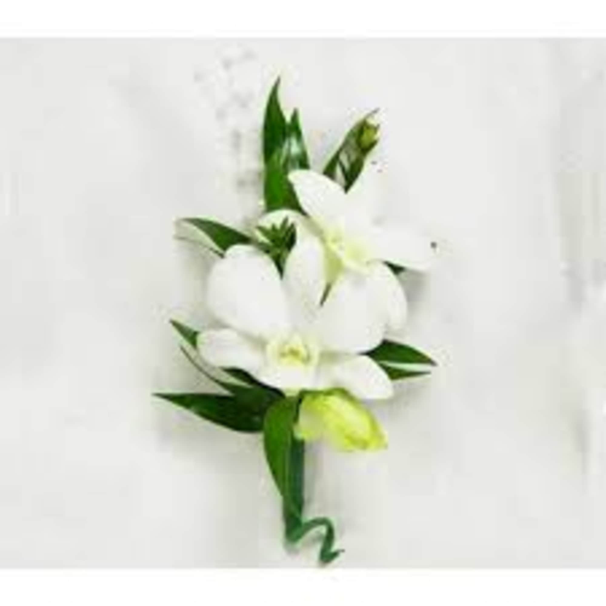 Our Palm Beach Collection captures the tropical beauty of Florida with the