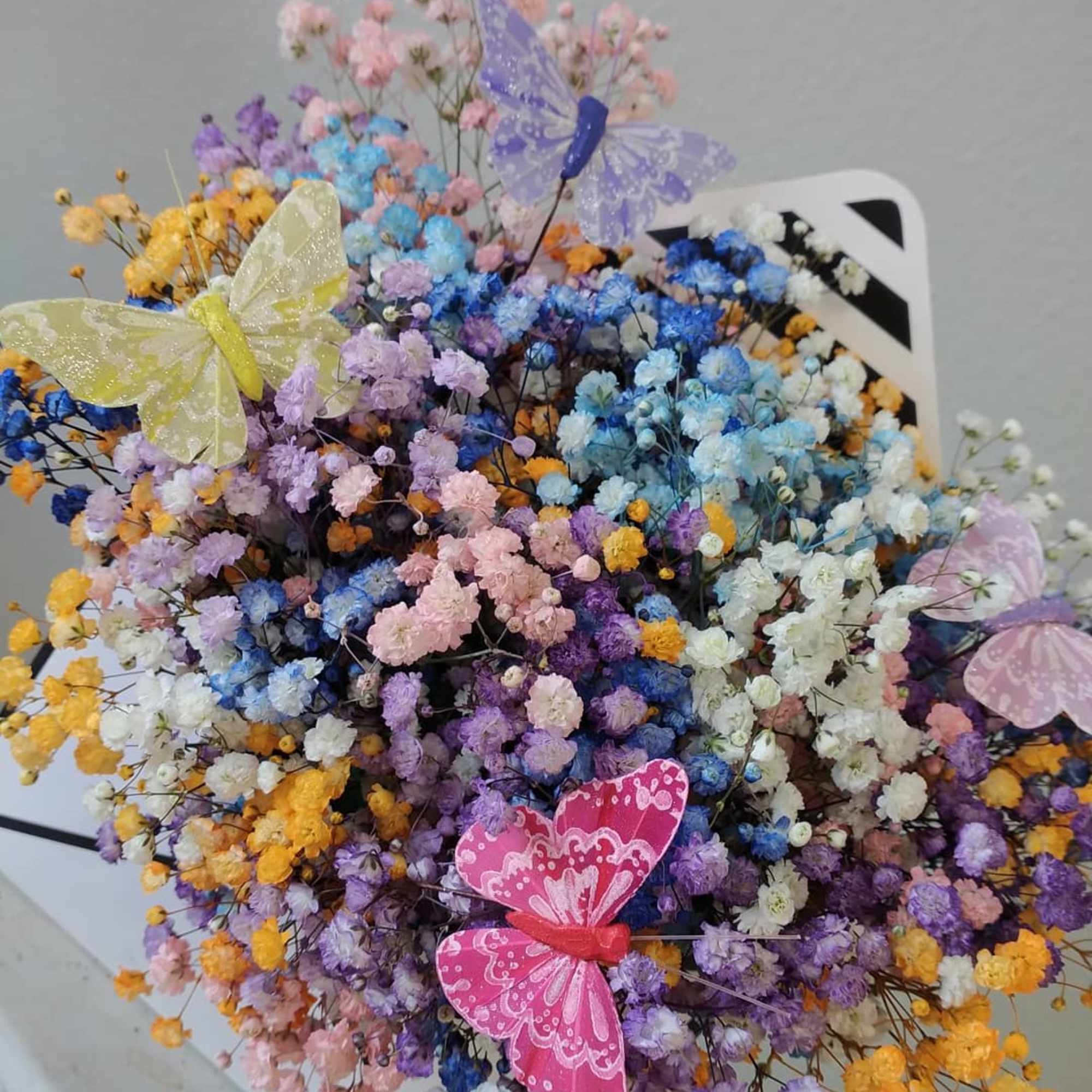 A cute envelope style box of rainbow Baby Breath. Adorned with adorable