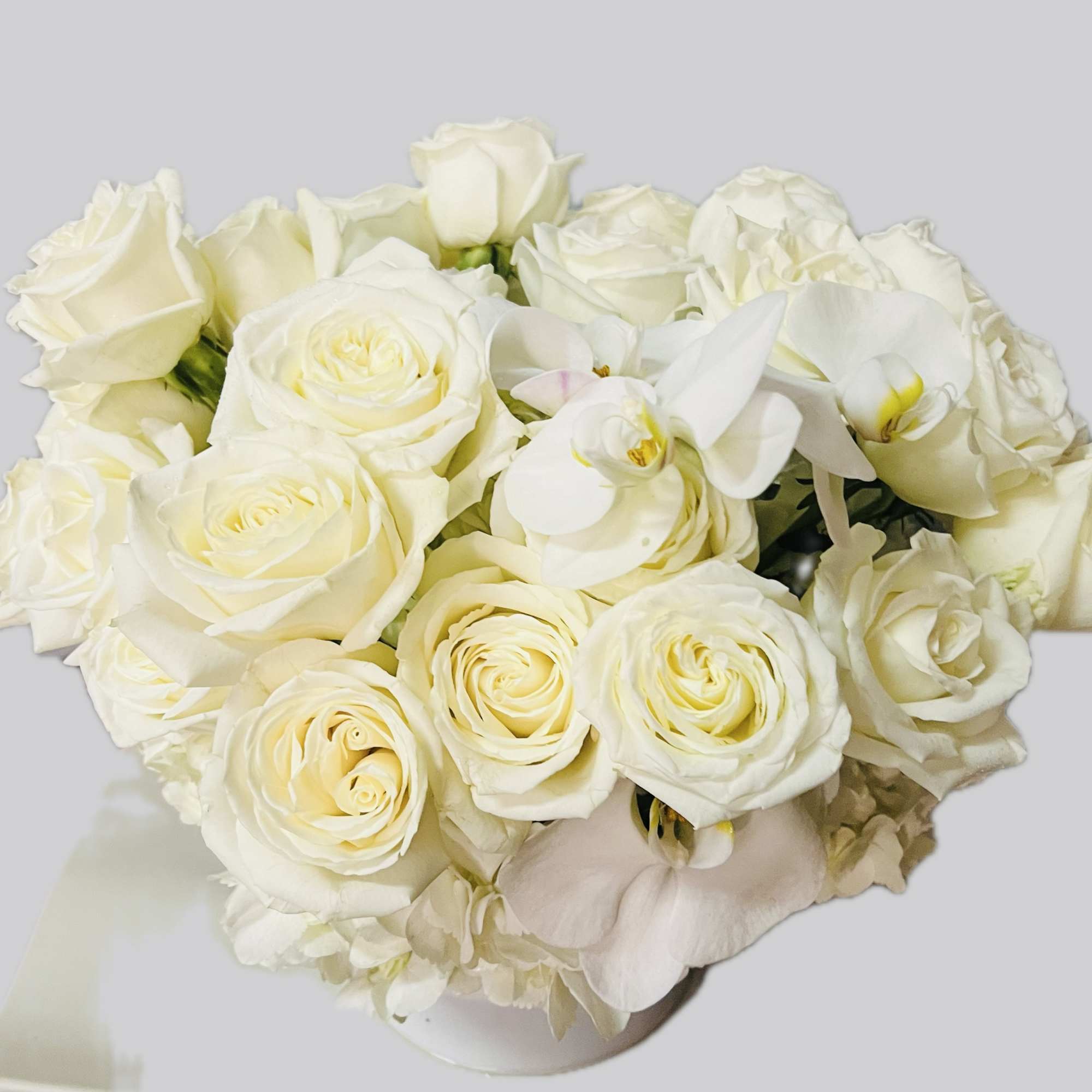 White roses, white hydrangea, white orchid 
With white vase