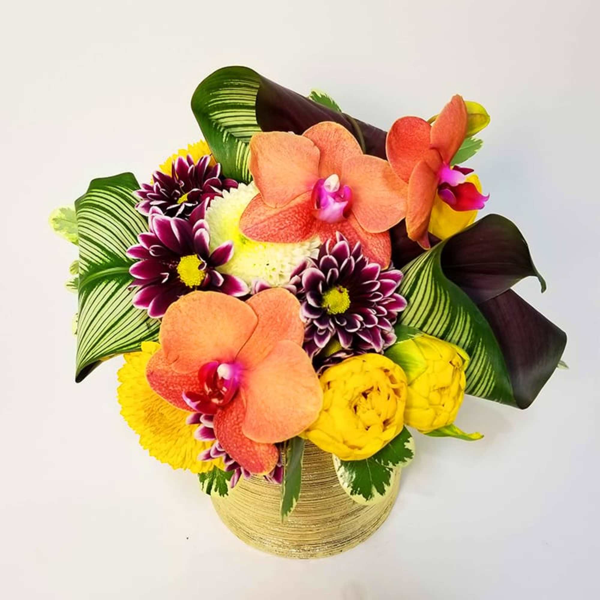 Compact Floral Arrangement of Orchids, Mums, and Tropical Greens. 