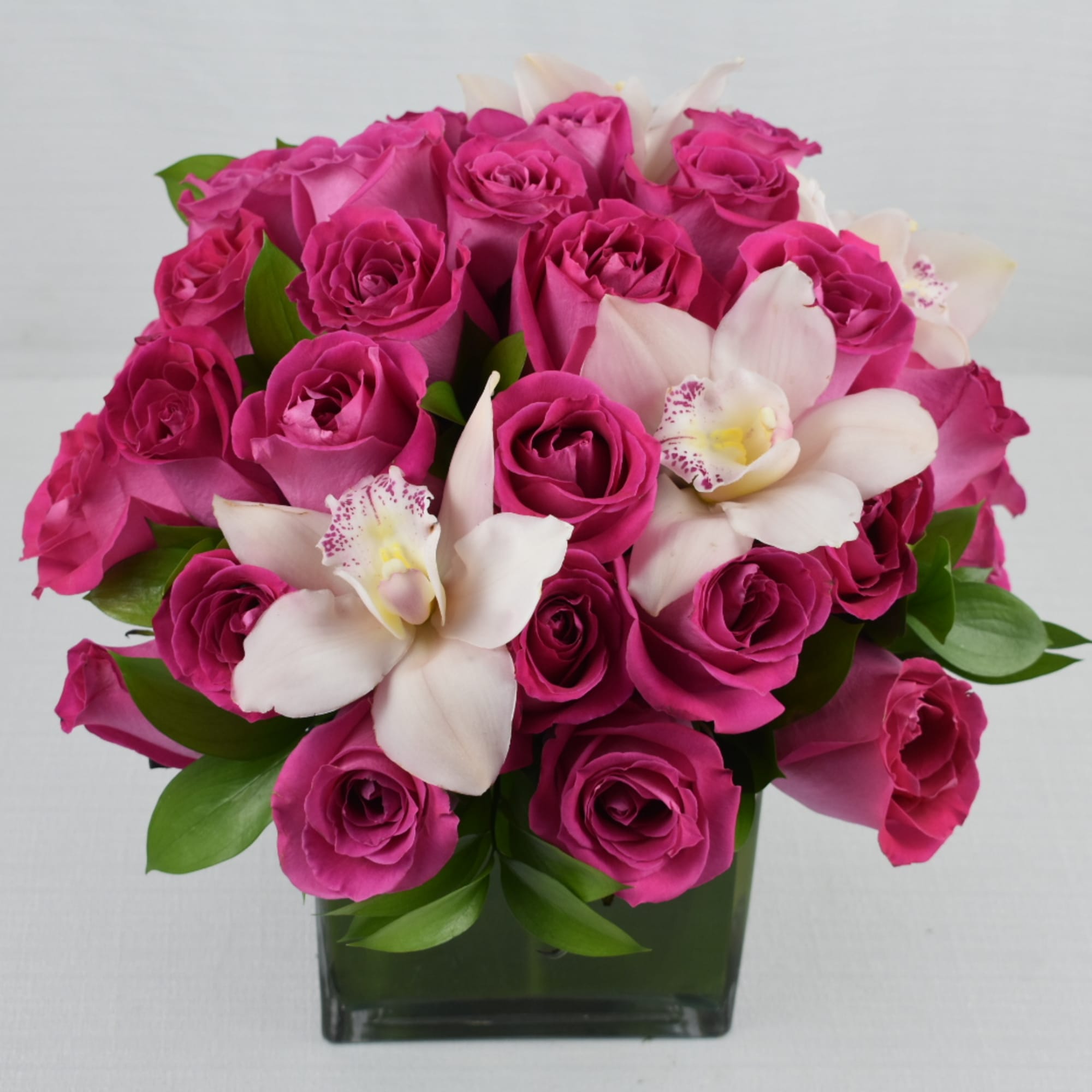This lovely arrangement comes in a square Vase 6x6 
with 4 dozen