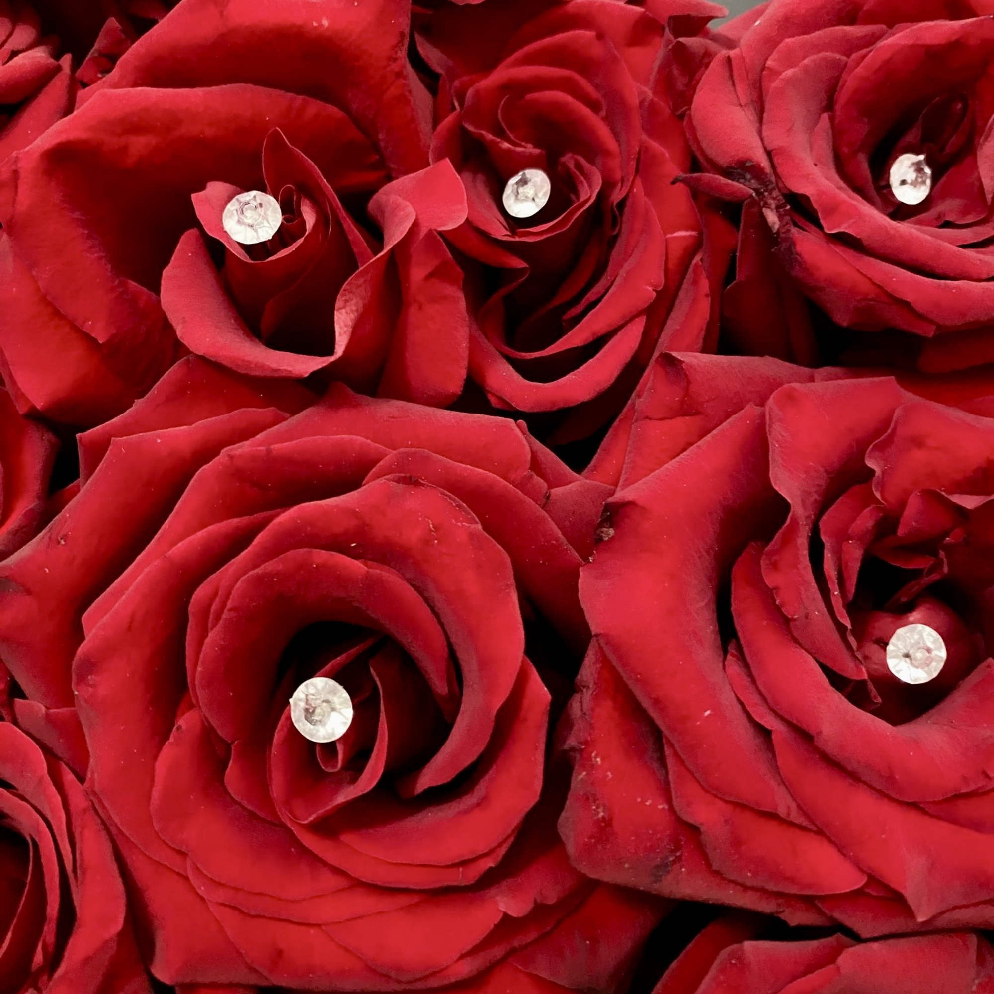 Unique and luxury wrap design with 3 dozen red roses. Each hand