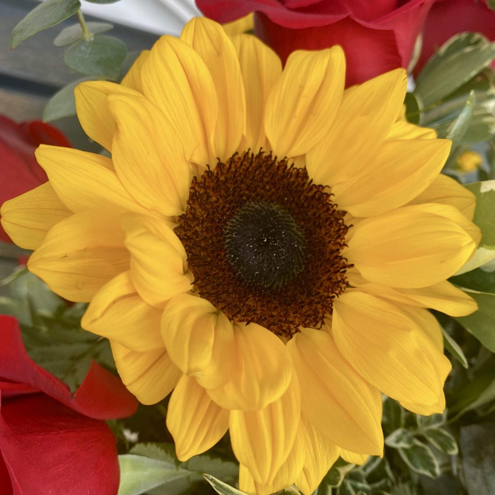 Beautiful red roses meet sunny sunflowers - happy box for happy people! Beautiful red roses meet sunny sunflowers - happy box for happy people!