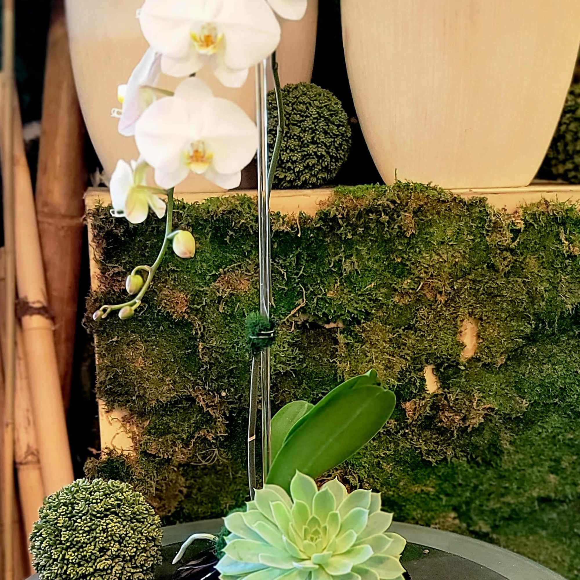 Elevate your space with effortless elegance from your local Los Angeles Florist.