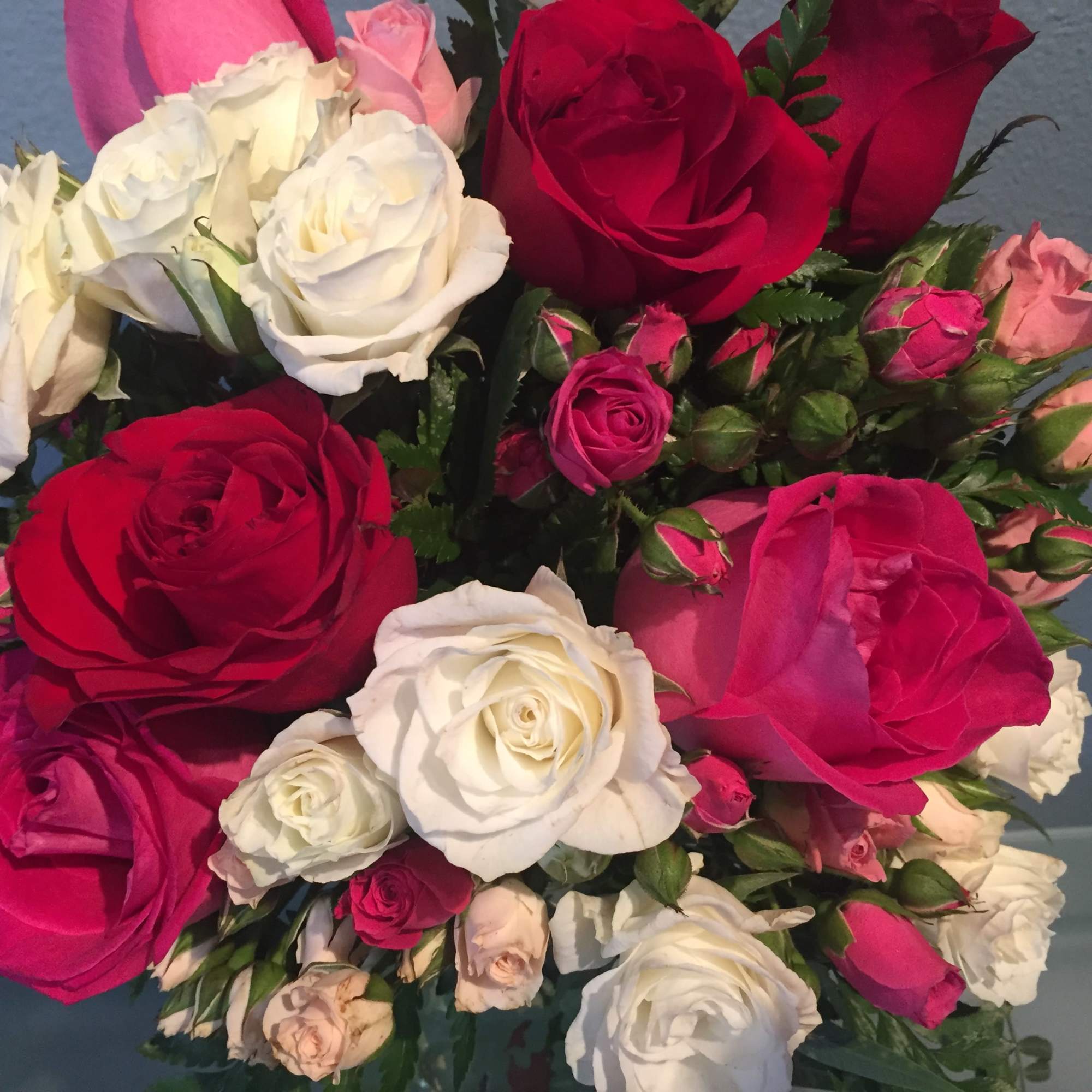 Through a collection of bold hues, gorgeous flowers, and fresh scents, this