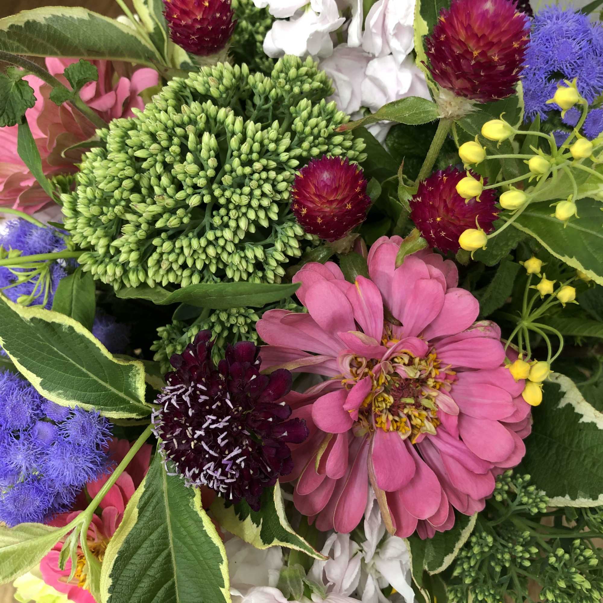 Clear cube vase bursting with colorful blooms! Clear cube vase bursting with colorful blooms!