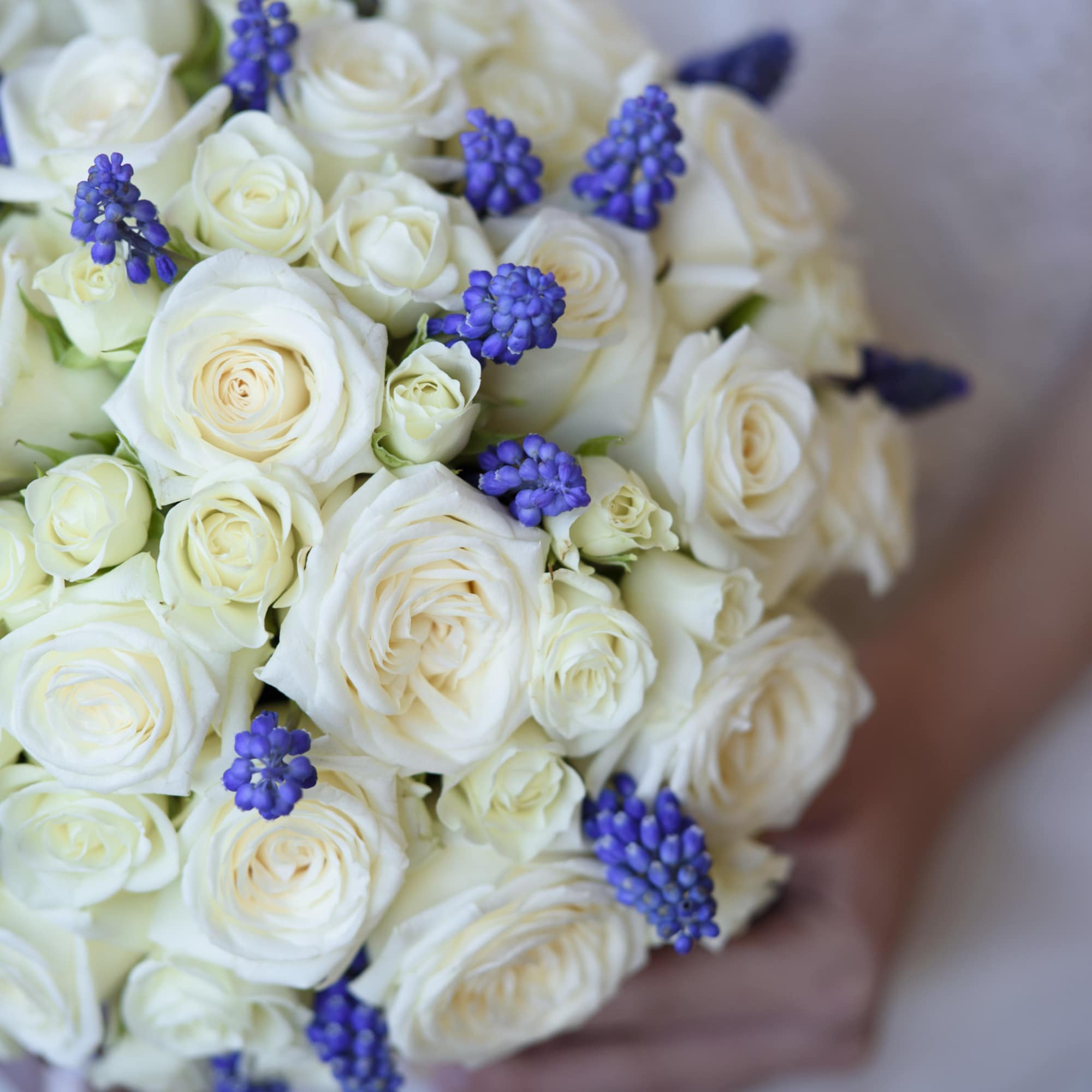 The Fiona arrangement delivery includes:
Premium, equadorian white roses (up to 30 -