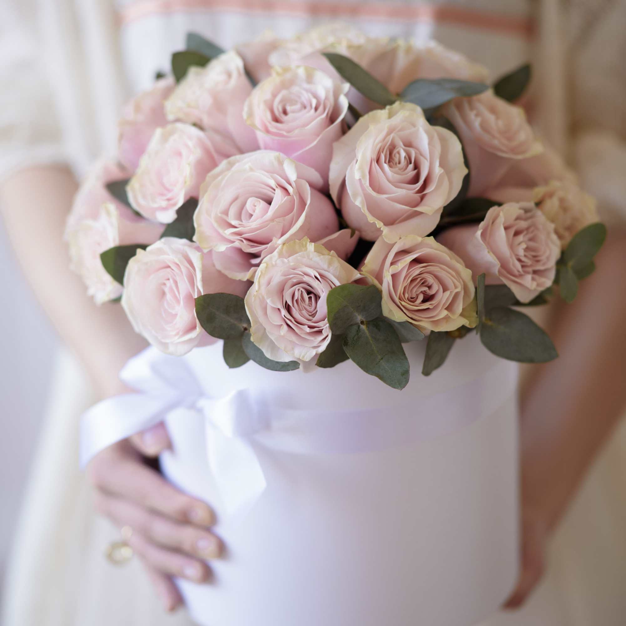 Premium, equadorian pale pink roses (up to 30 - medium sized box