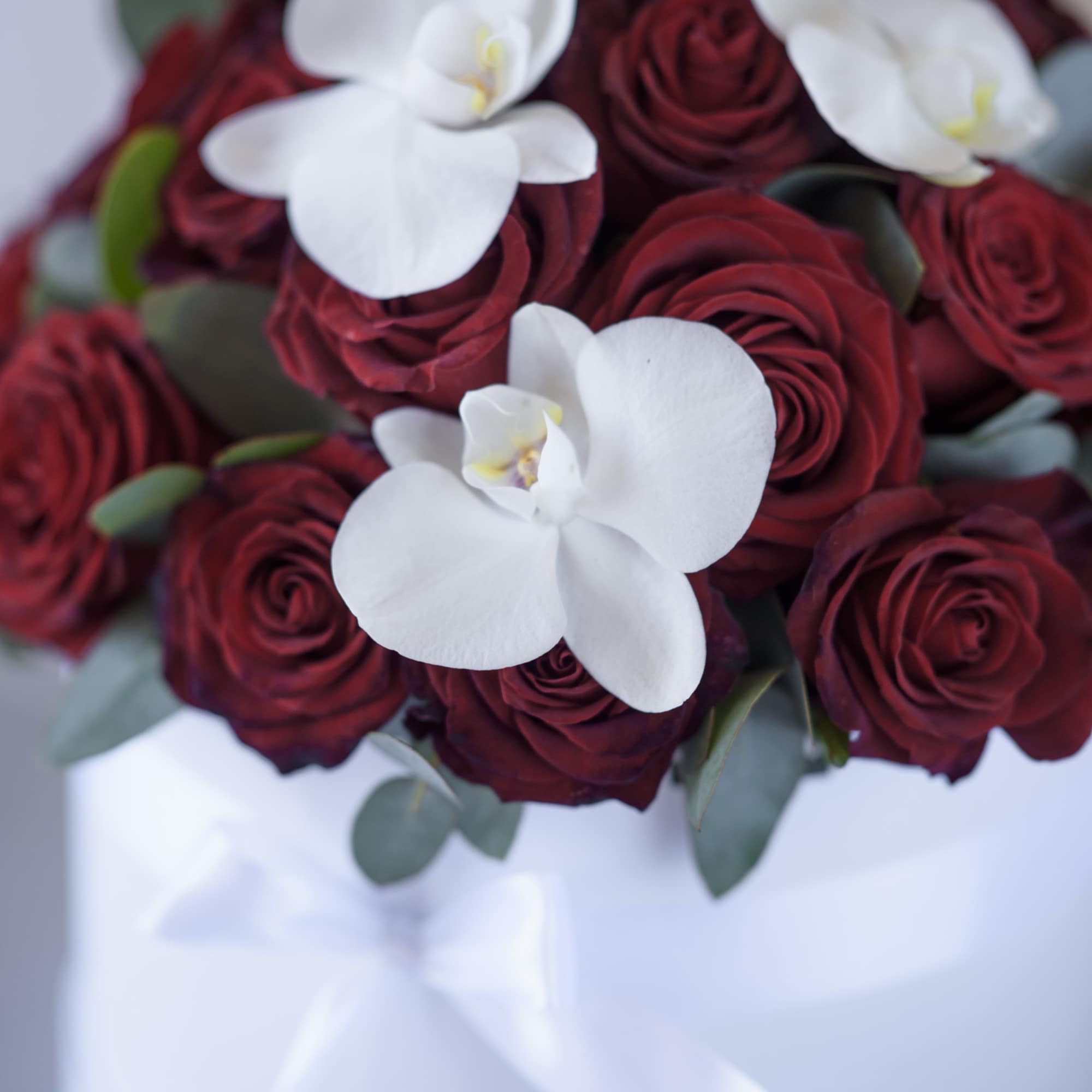 Premium, equadorian red roses (up to 30 - medium sized box, up